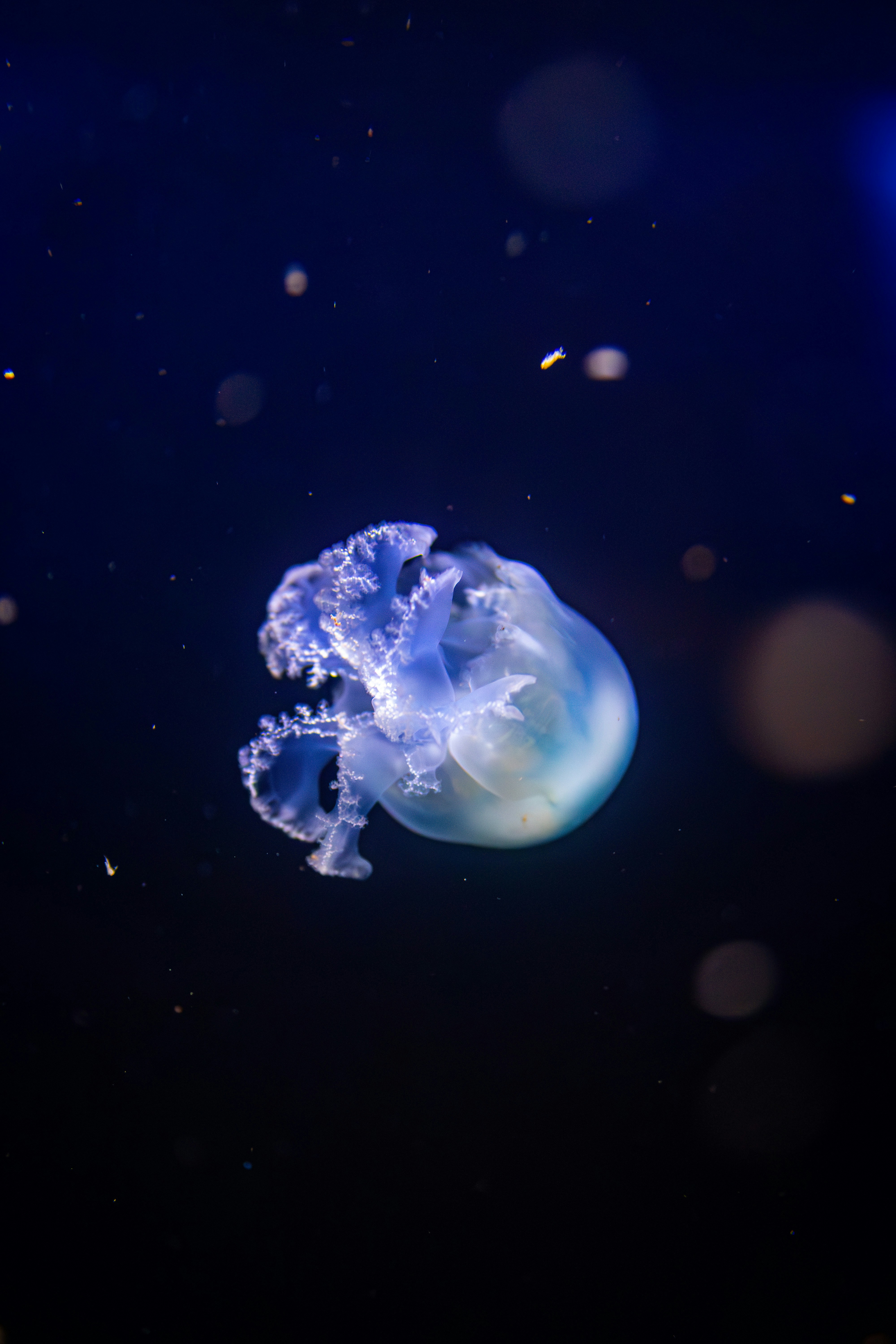 Photo by kennyvrphotography