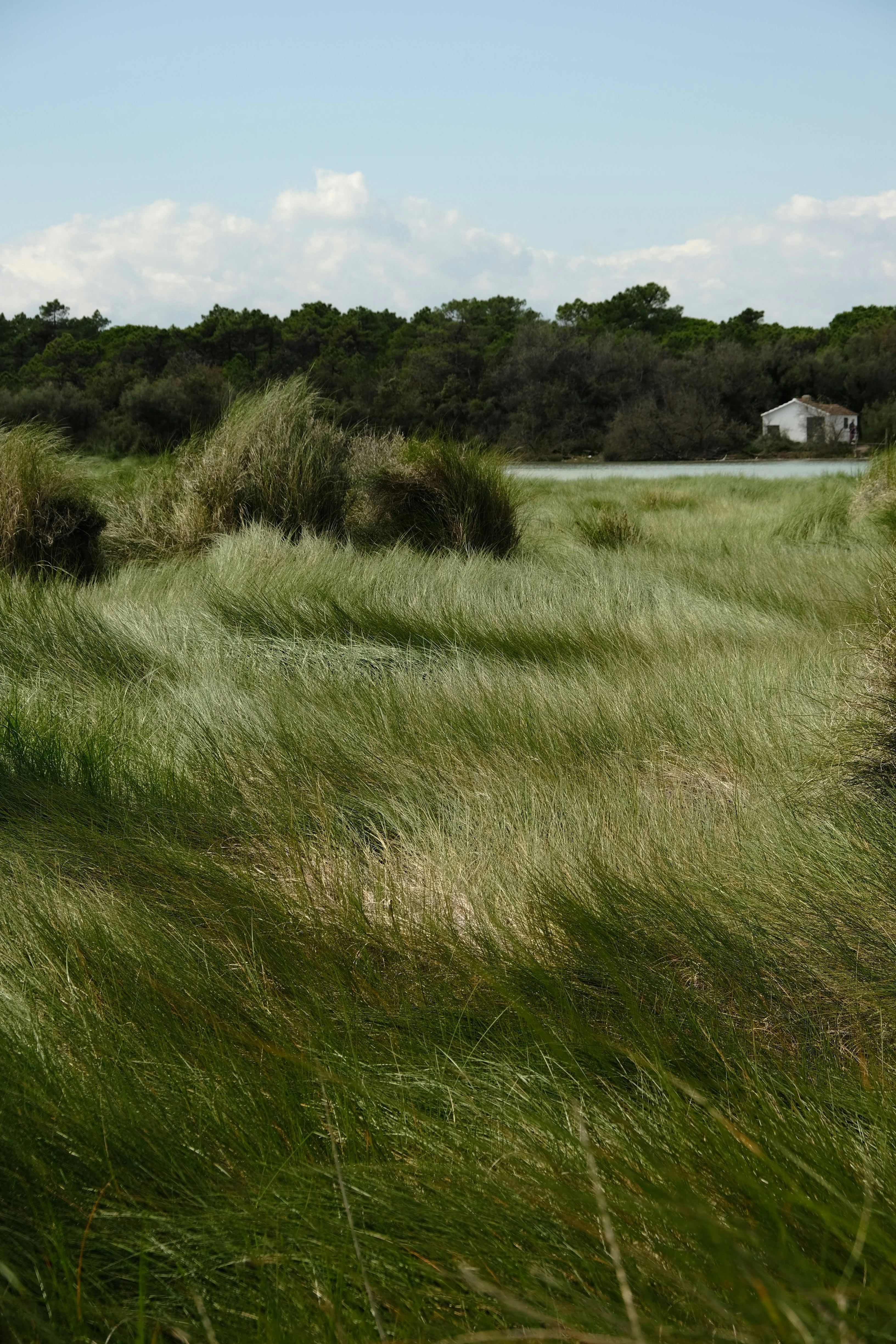 Photo by matteopetrani