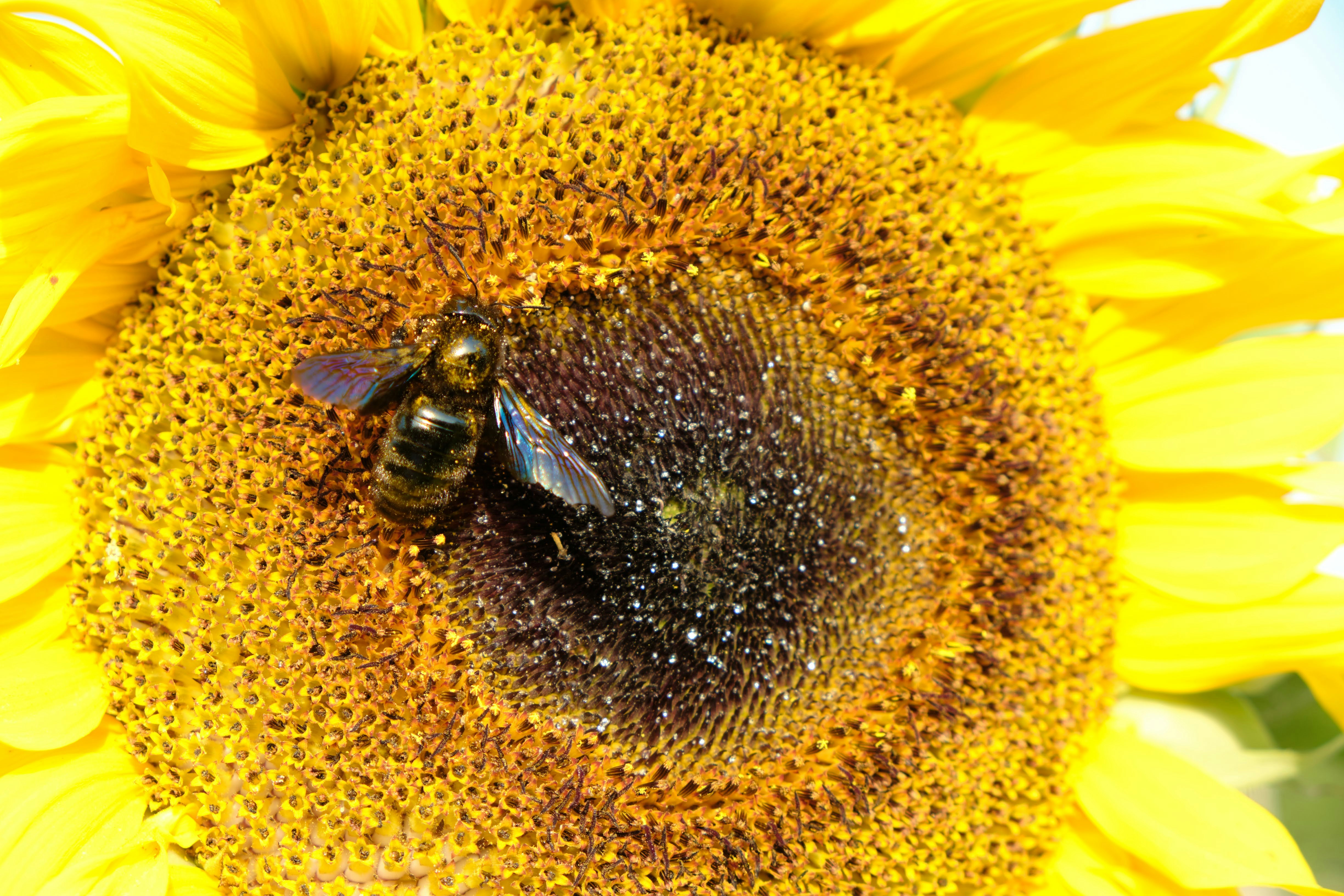 Photo by matteopetrani