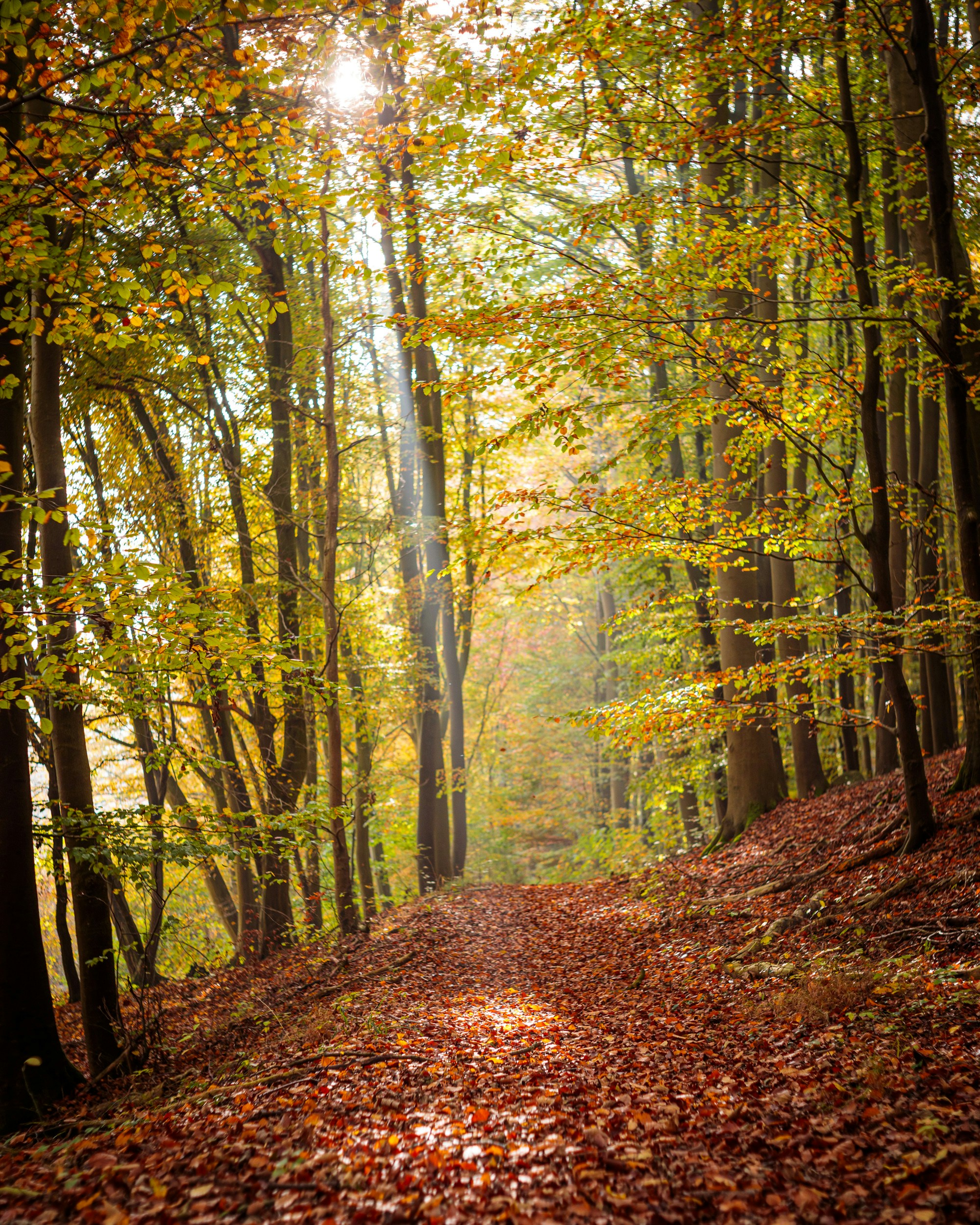 Photo by dreamscape_visions