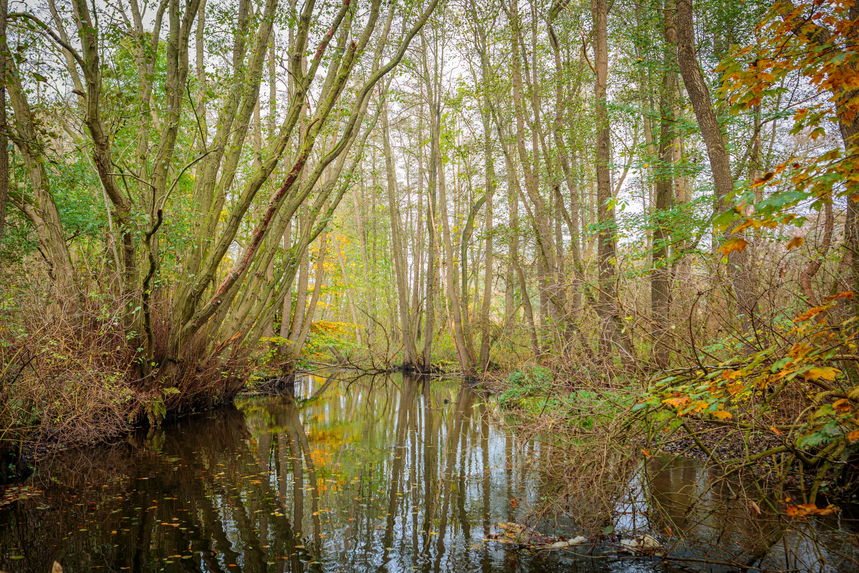 Photo by dreamscape_visions