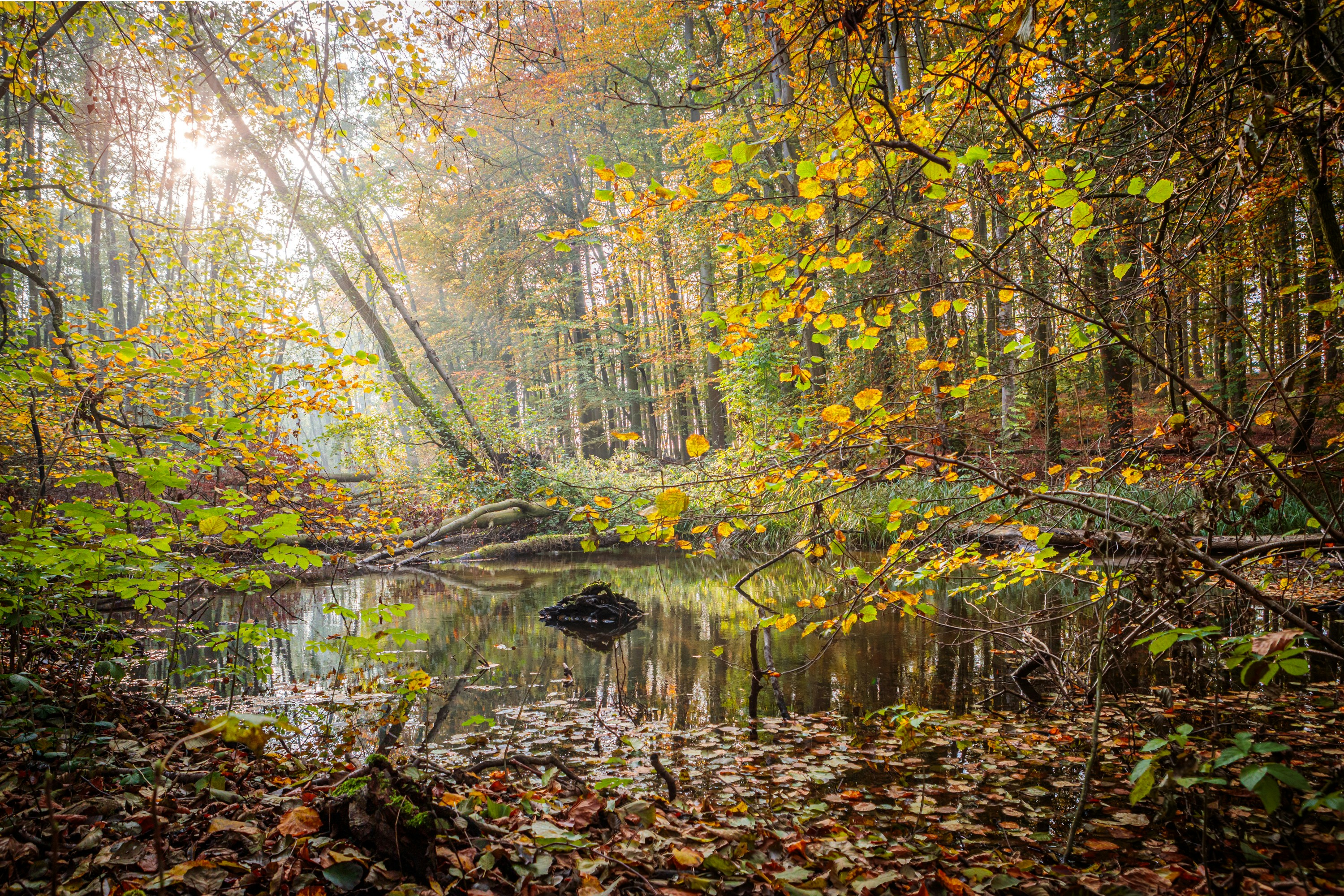 Photo by dreamscape_visions