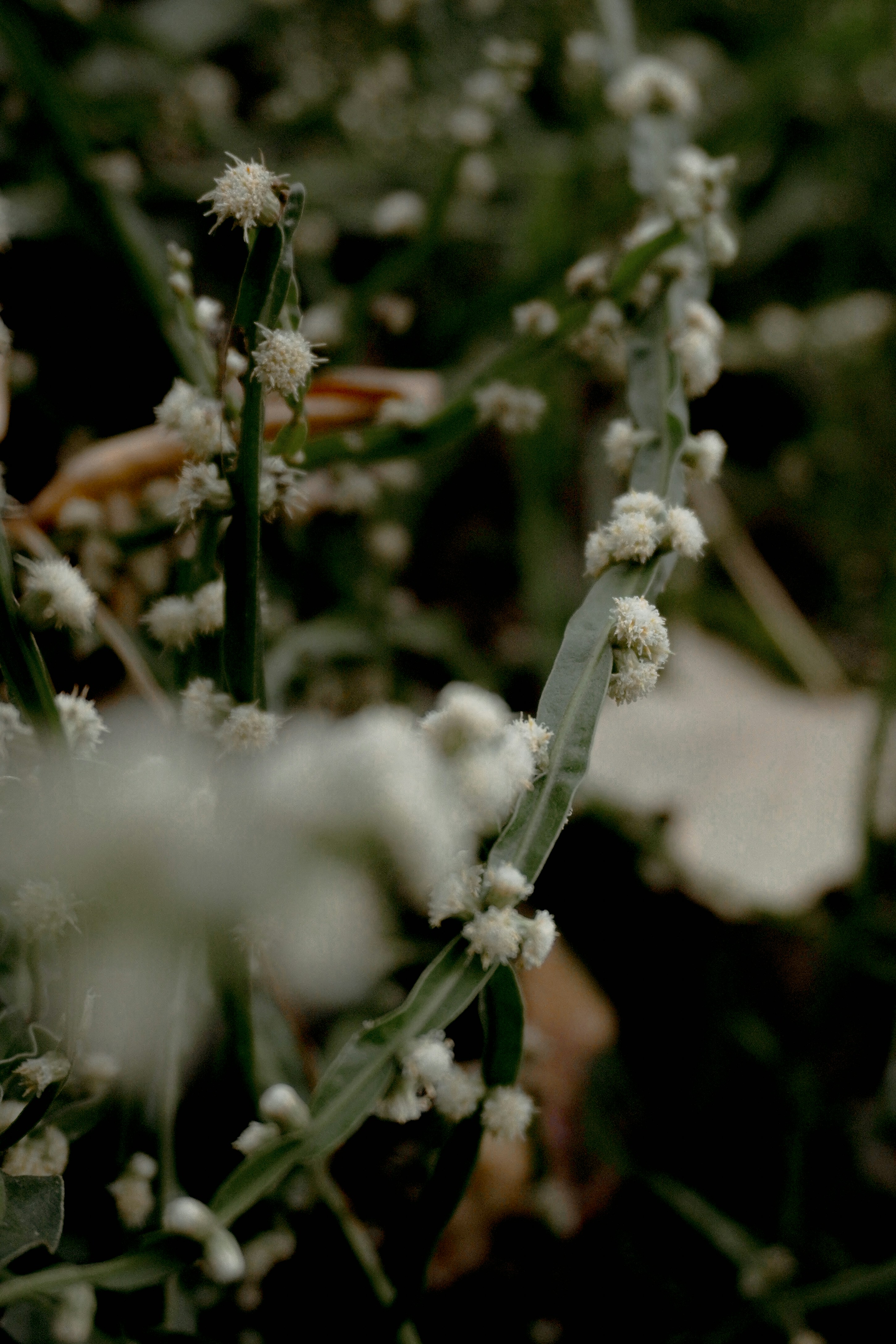 Photo by andreicastanha