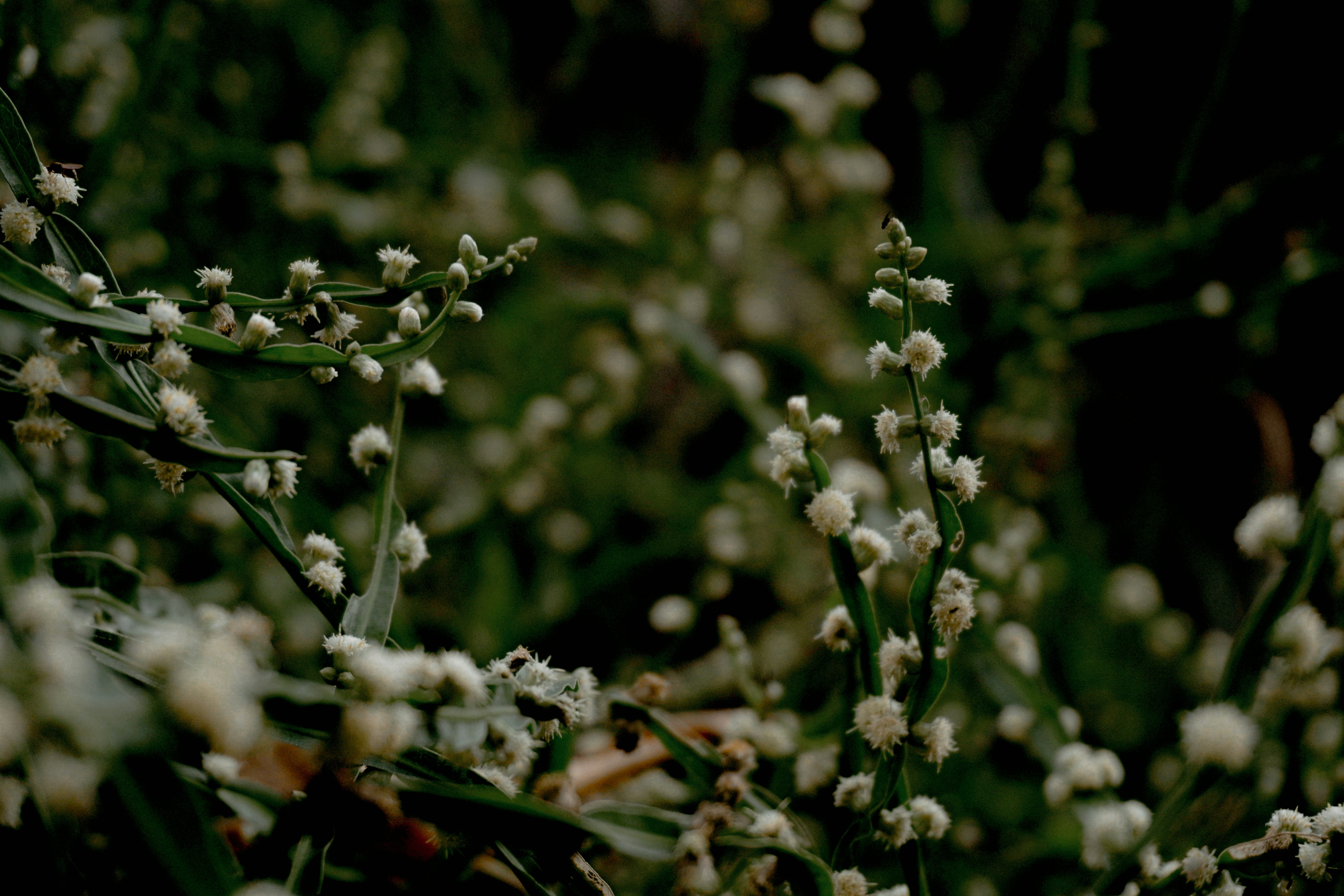 Photo by andreicastanha