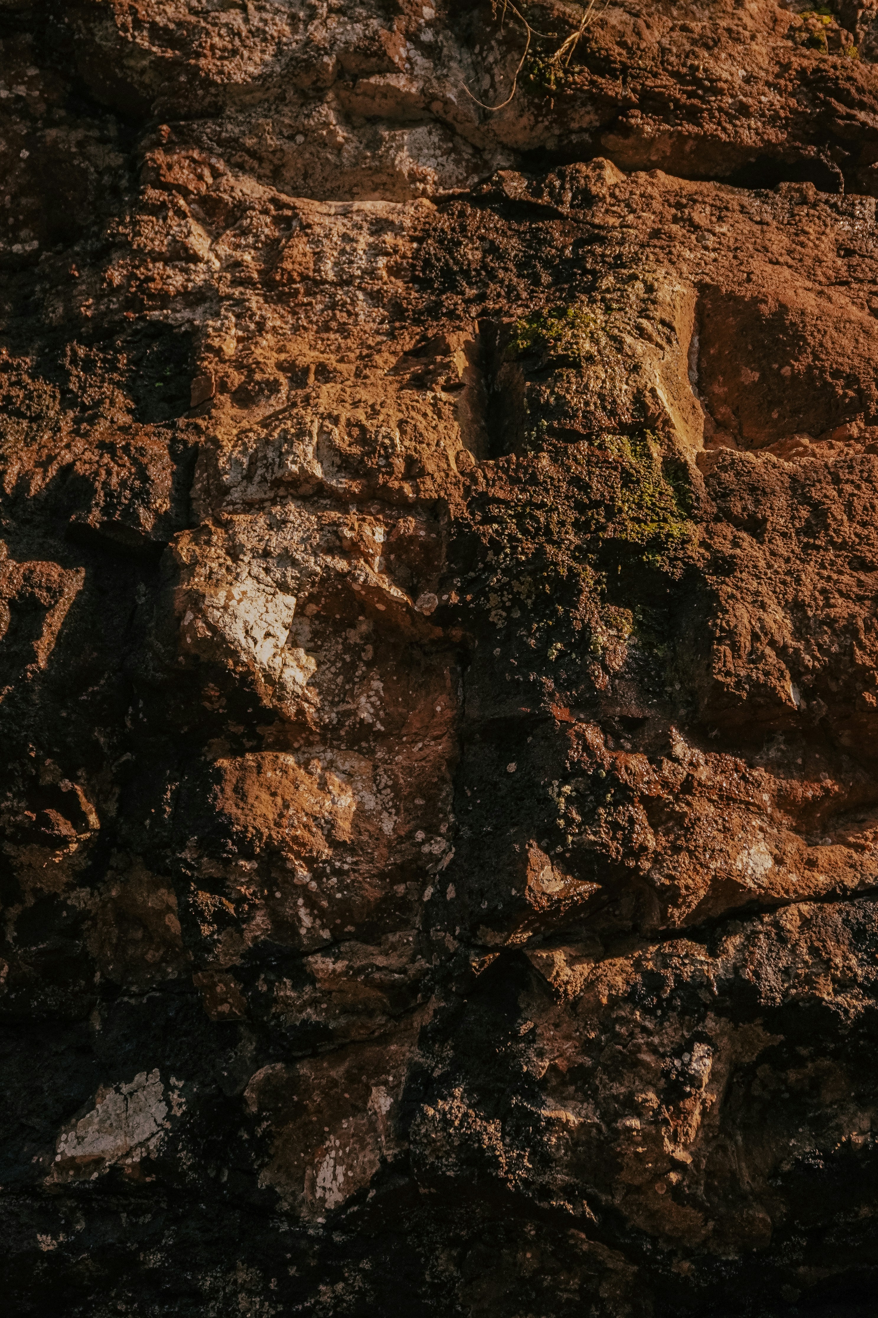 Photo by andreicastanha