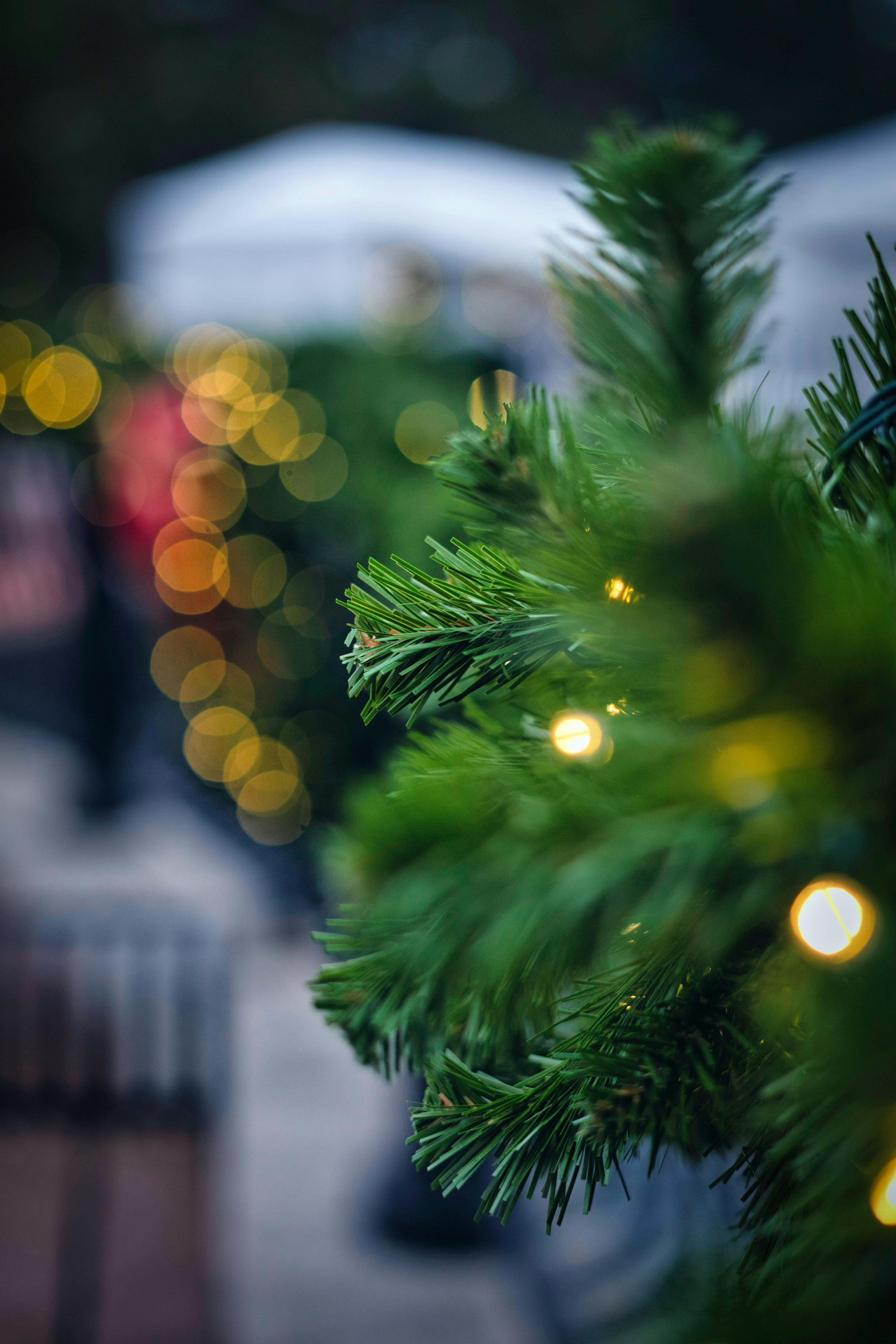 Photo by momentsbyrivera