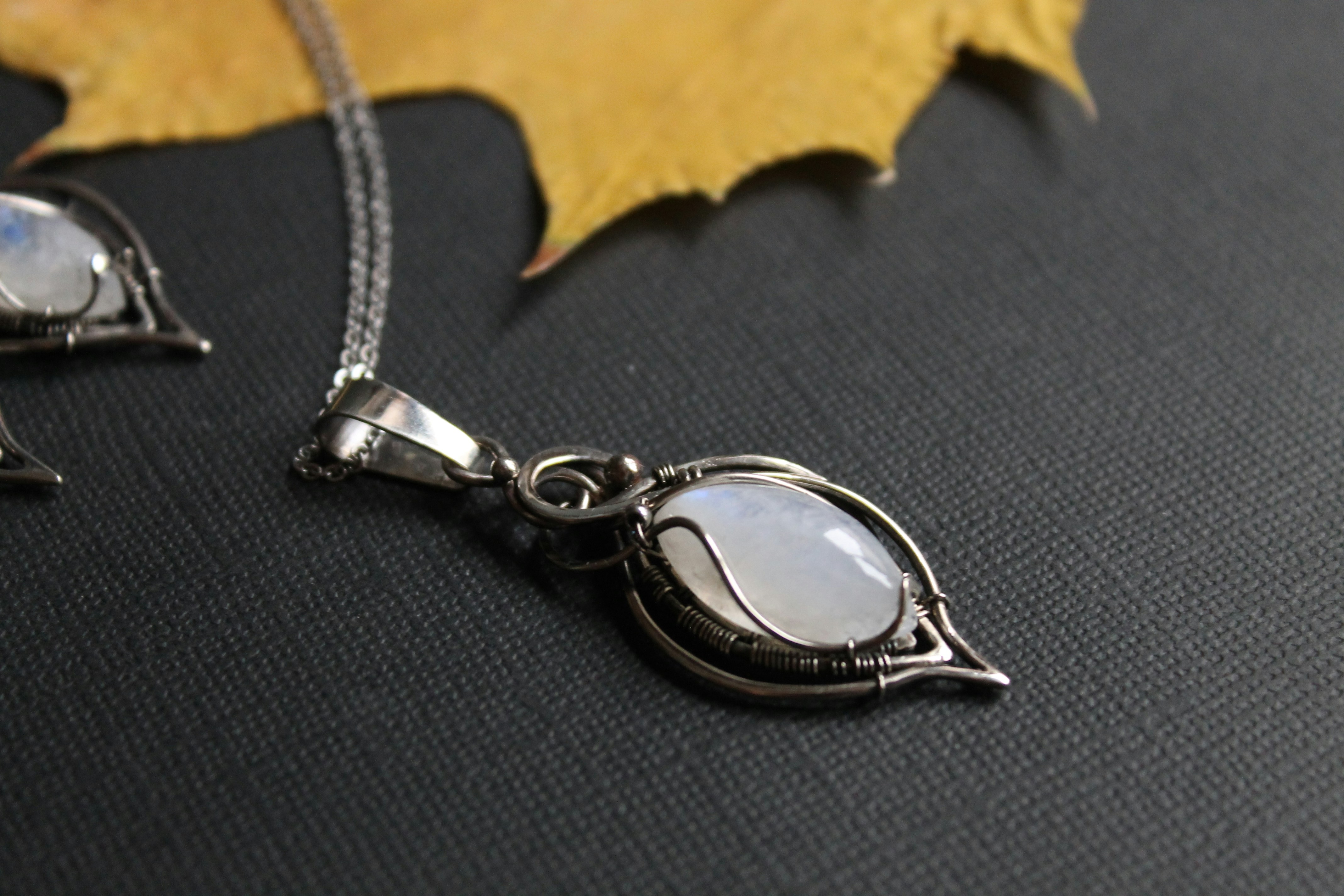 Photo by thehouseofthewitch