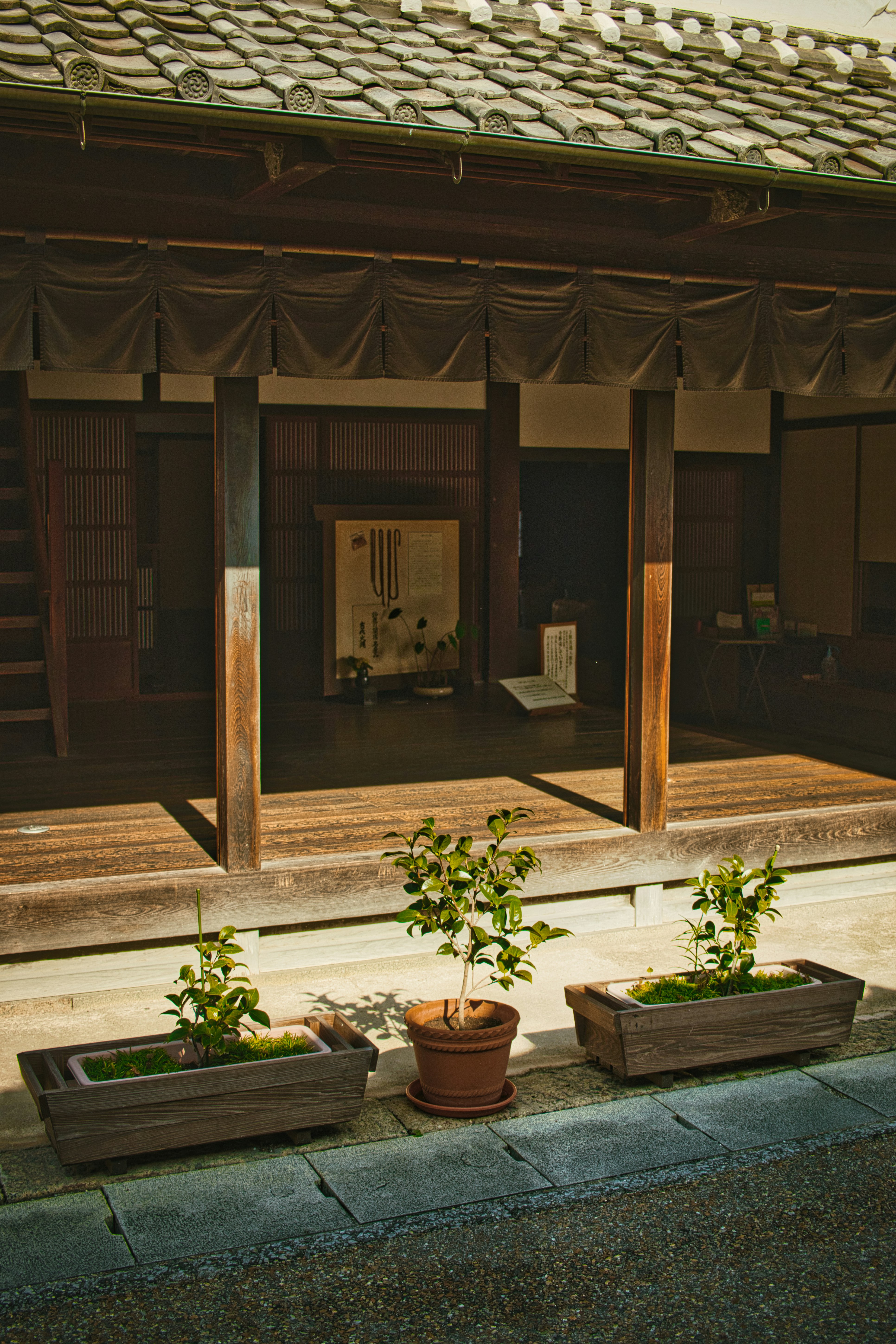 Photo by shottrotter