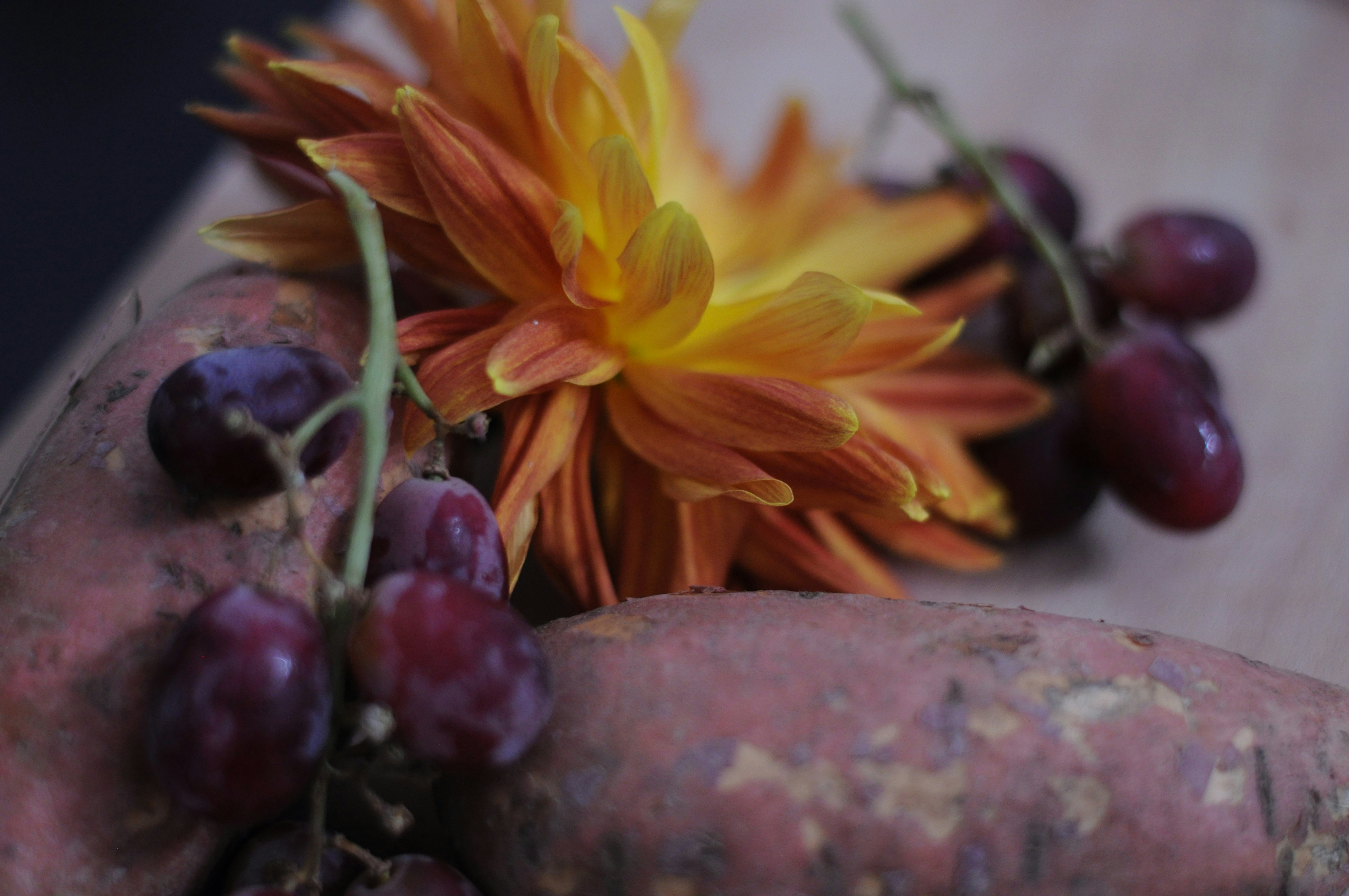 Eine Nahaufnahme einer Blume und einiger Trauben