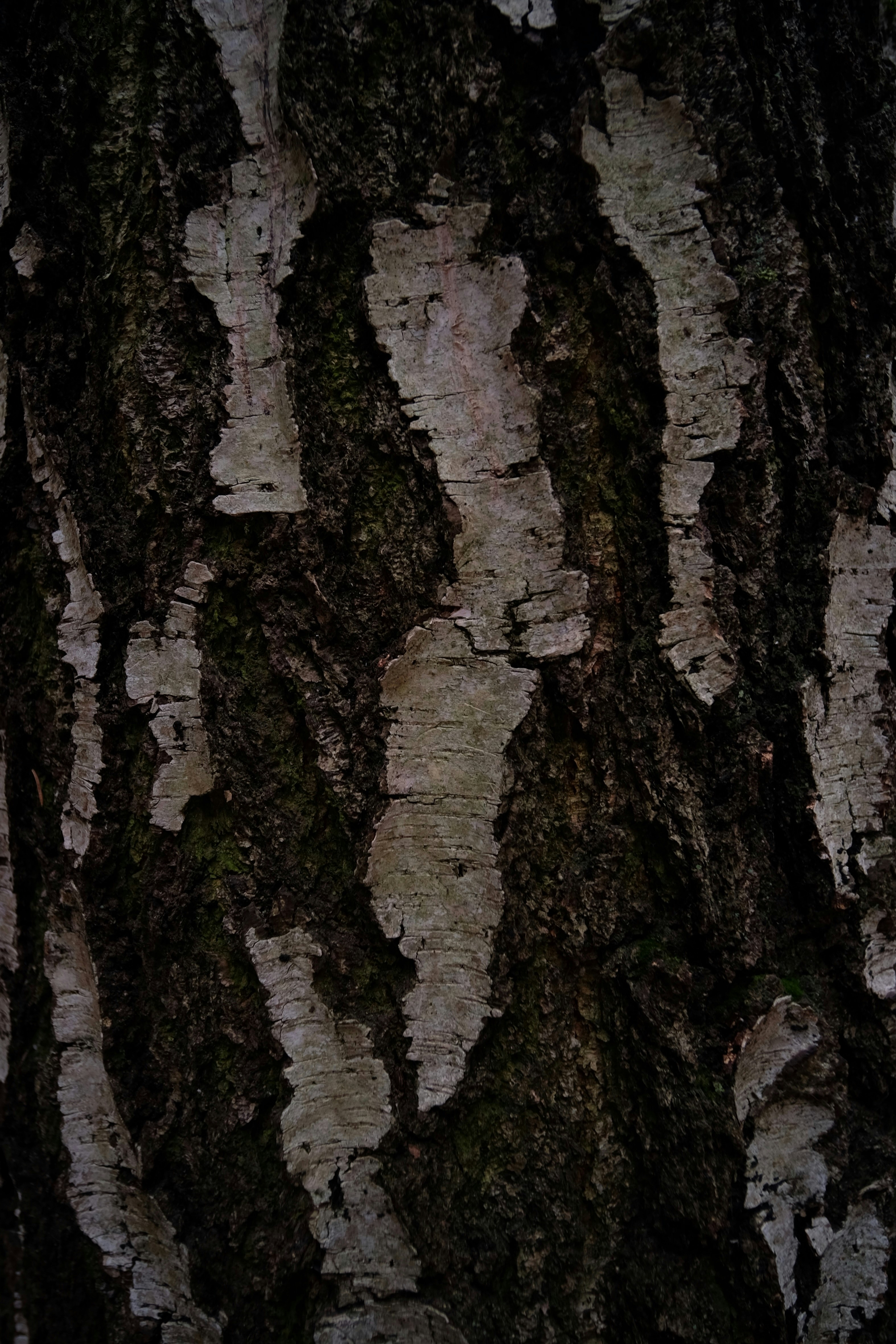 Photo by anastasiayu