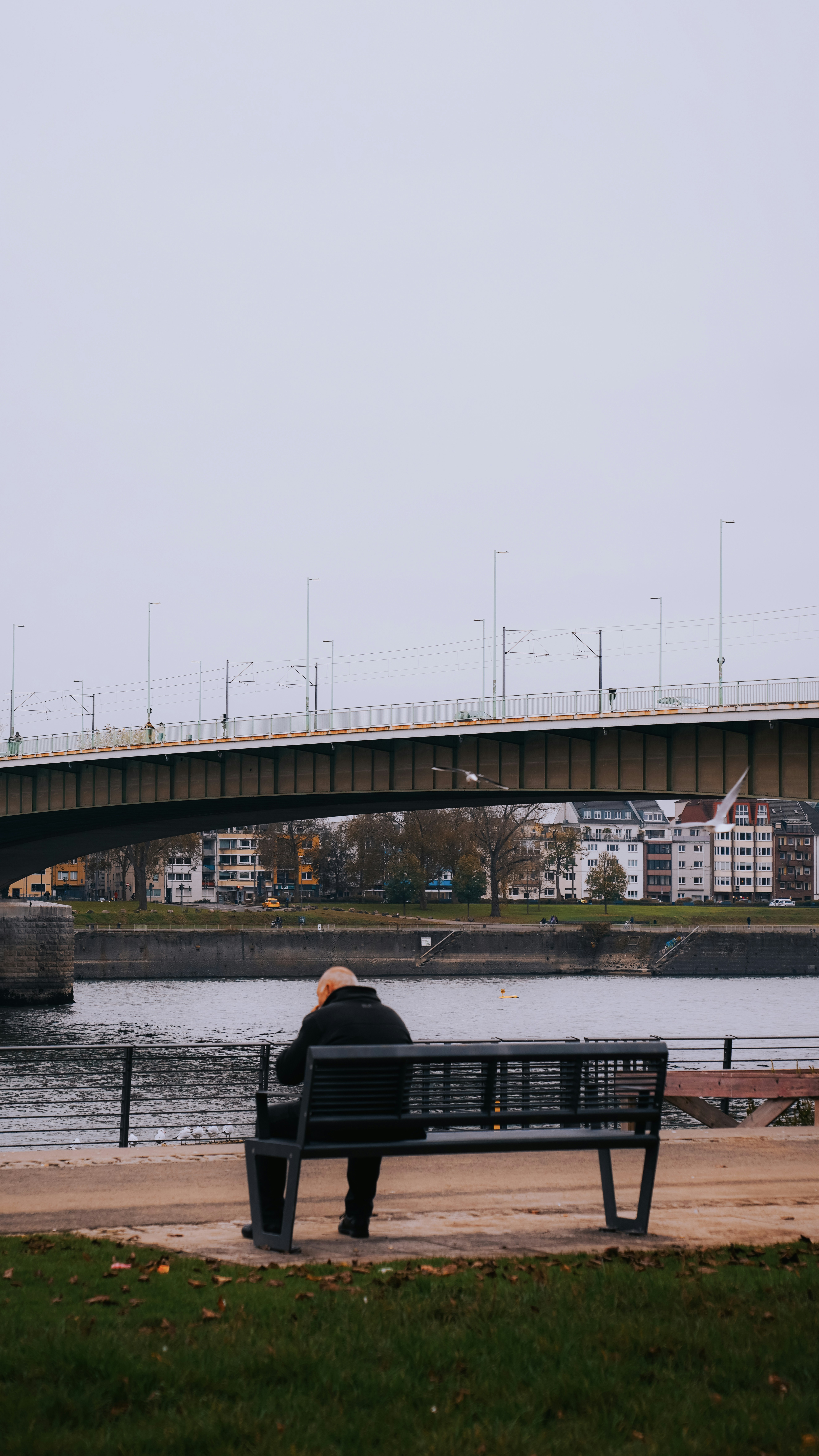 Un hombre sentado en un banco junto a un río