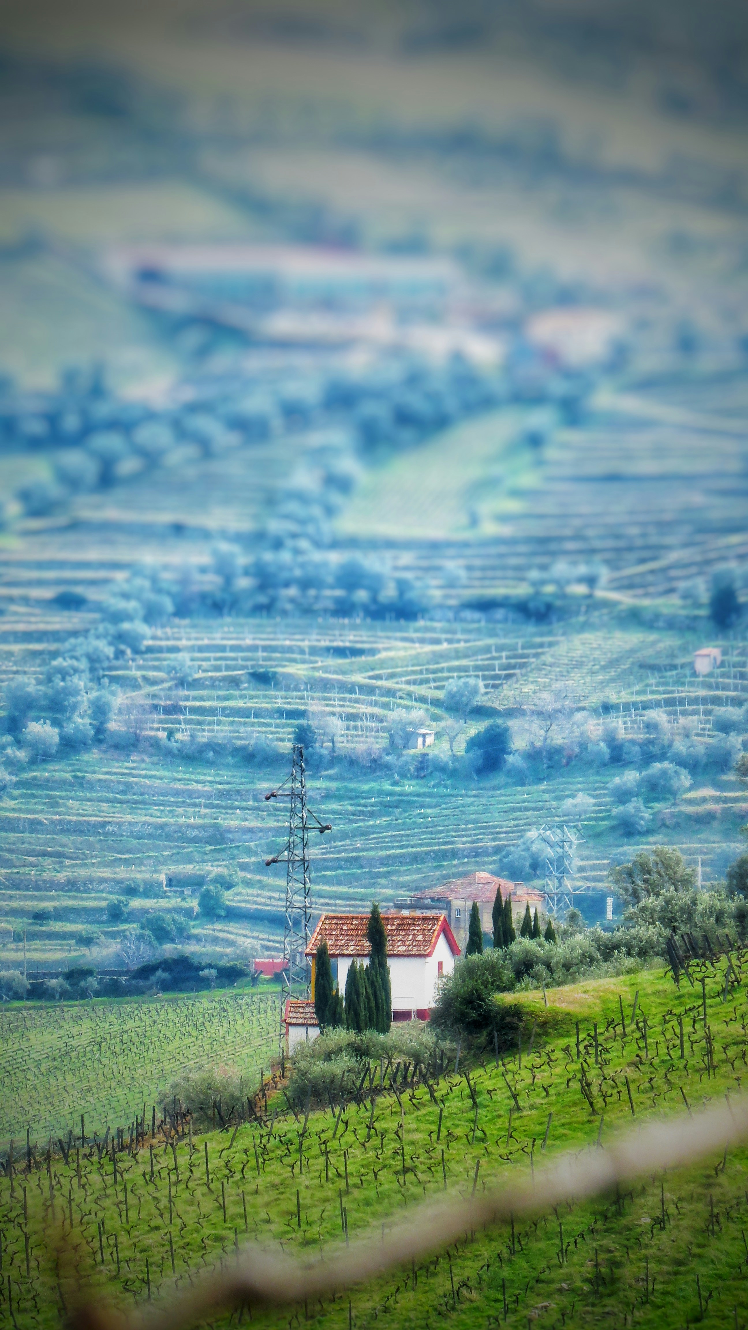 A house in the middle of a green field