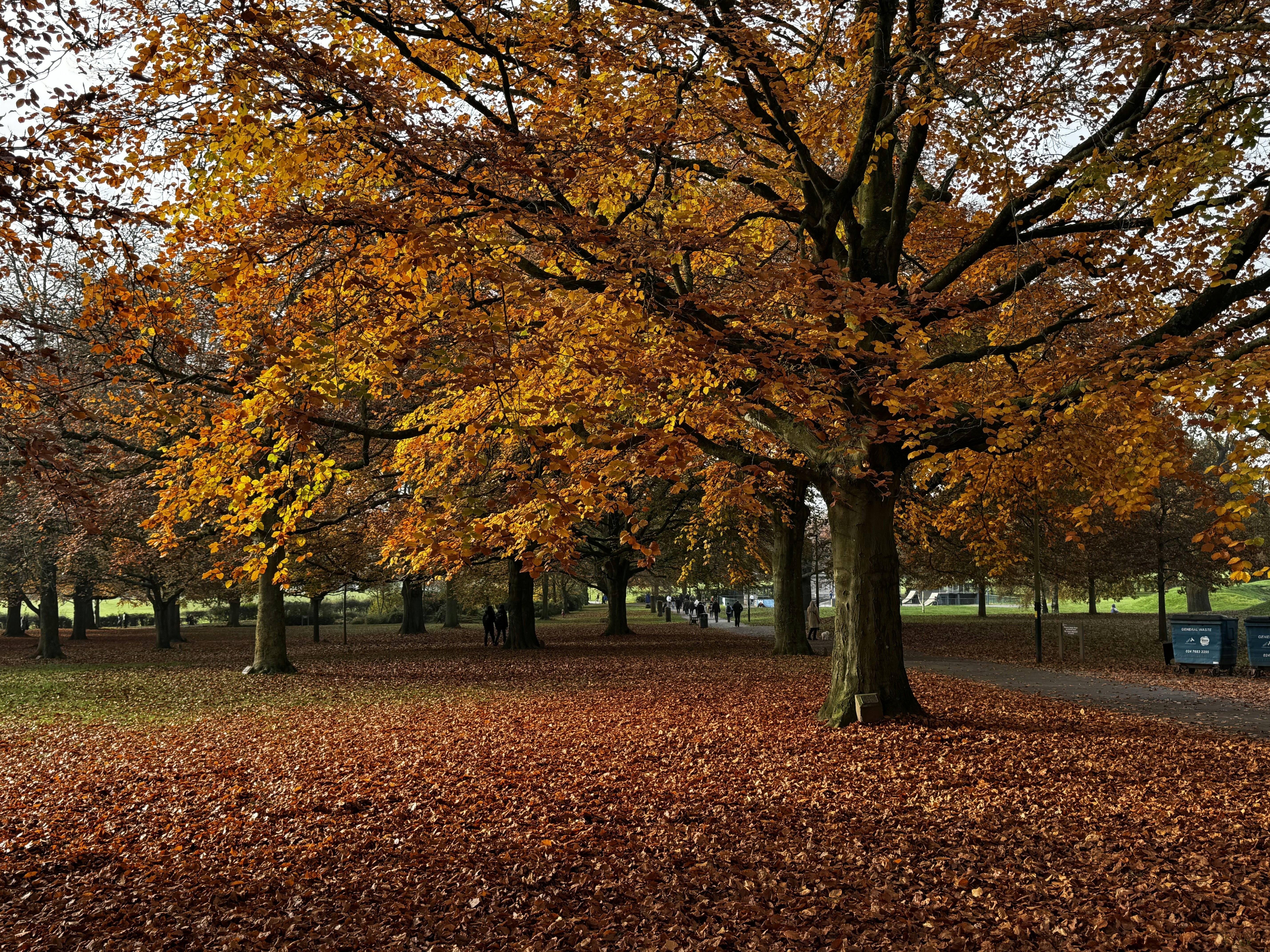 Photo by maryamsarafrazi