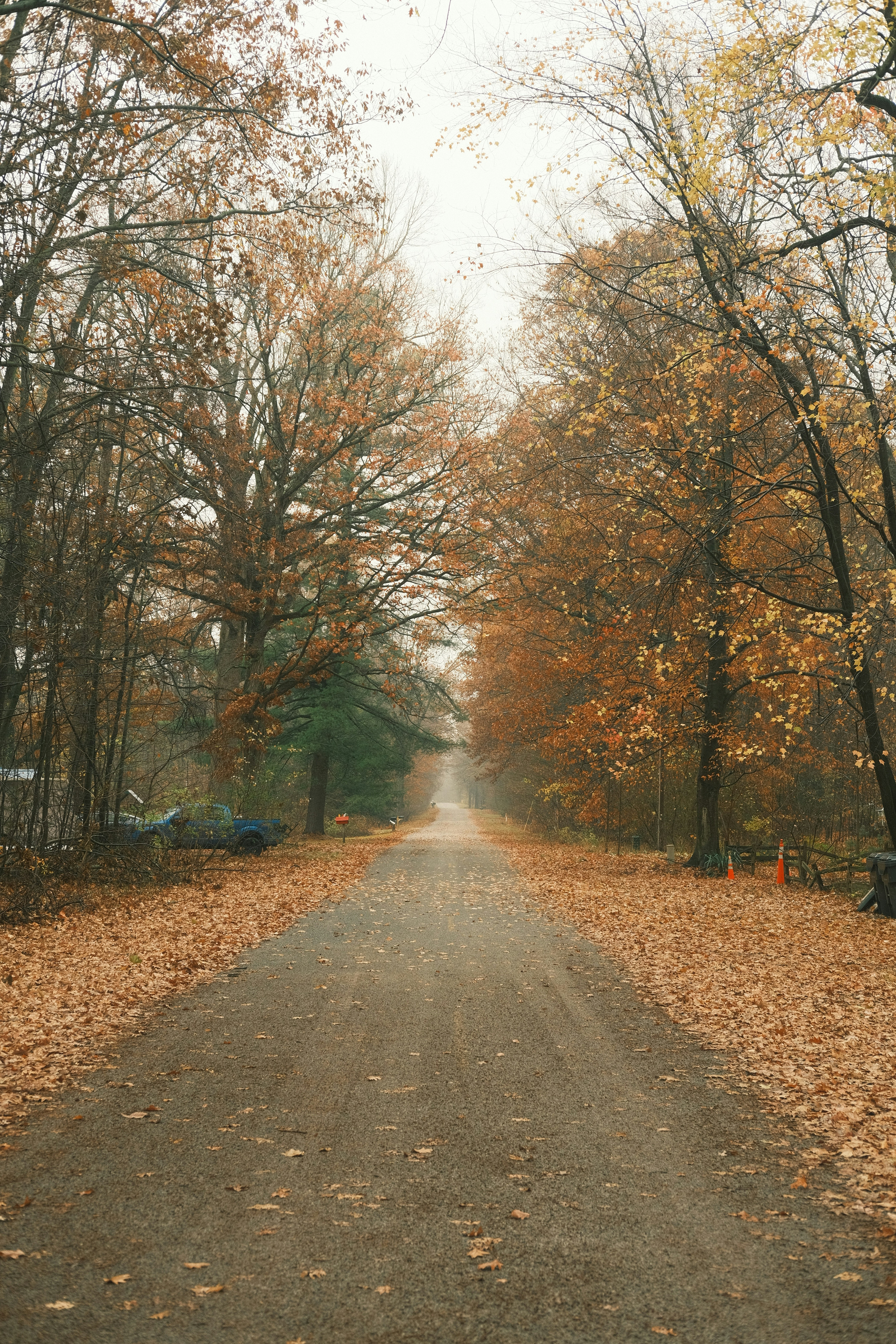 Photo by vince_rankin