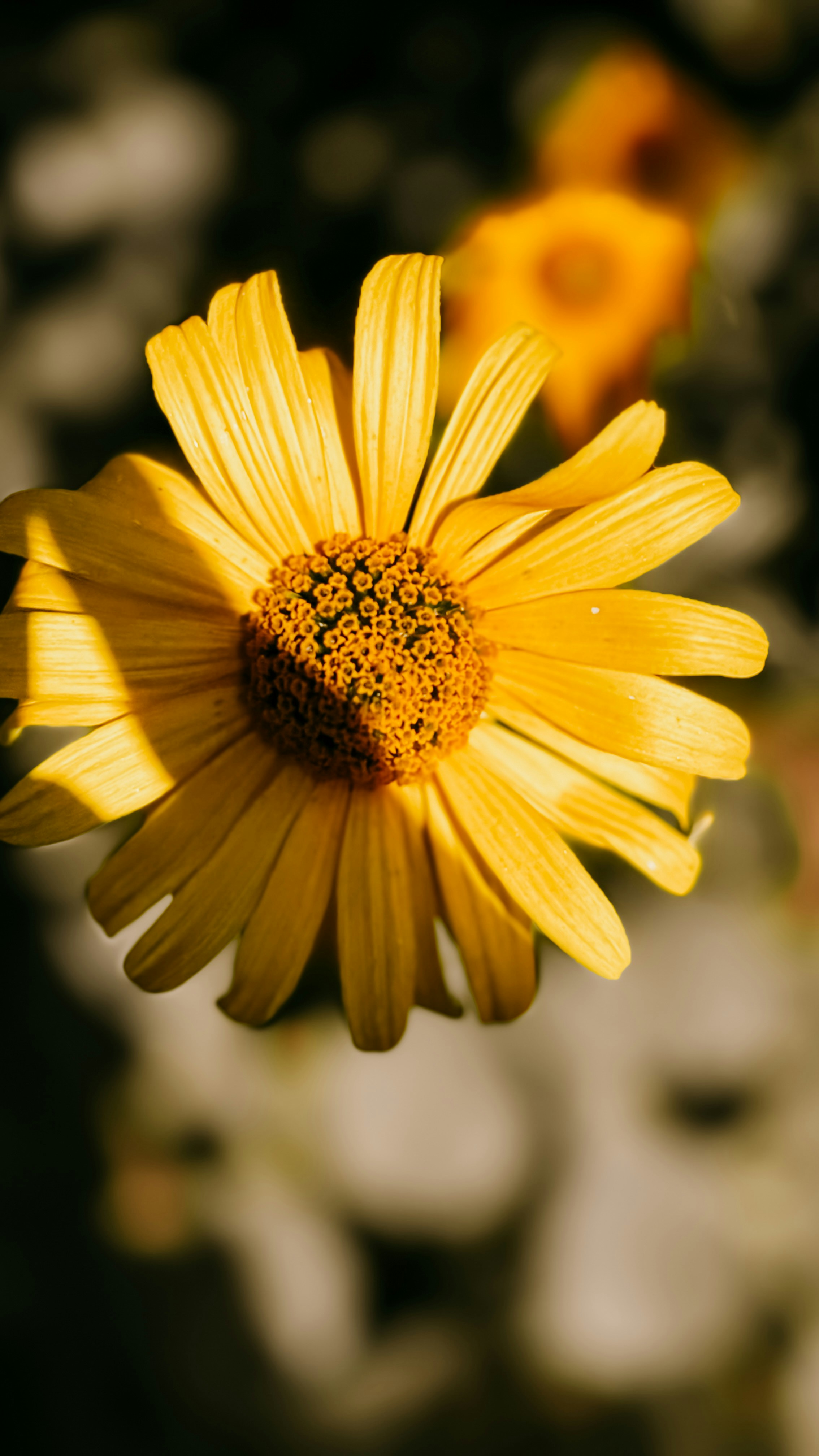 Photo by blnk_photos