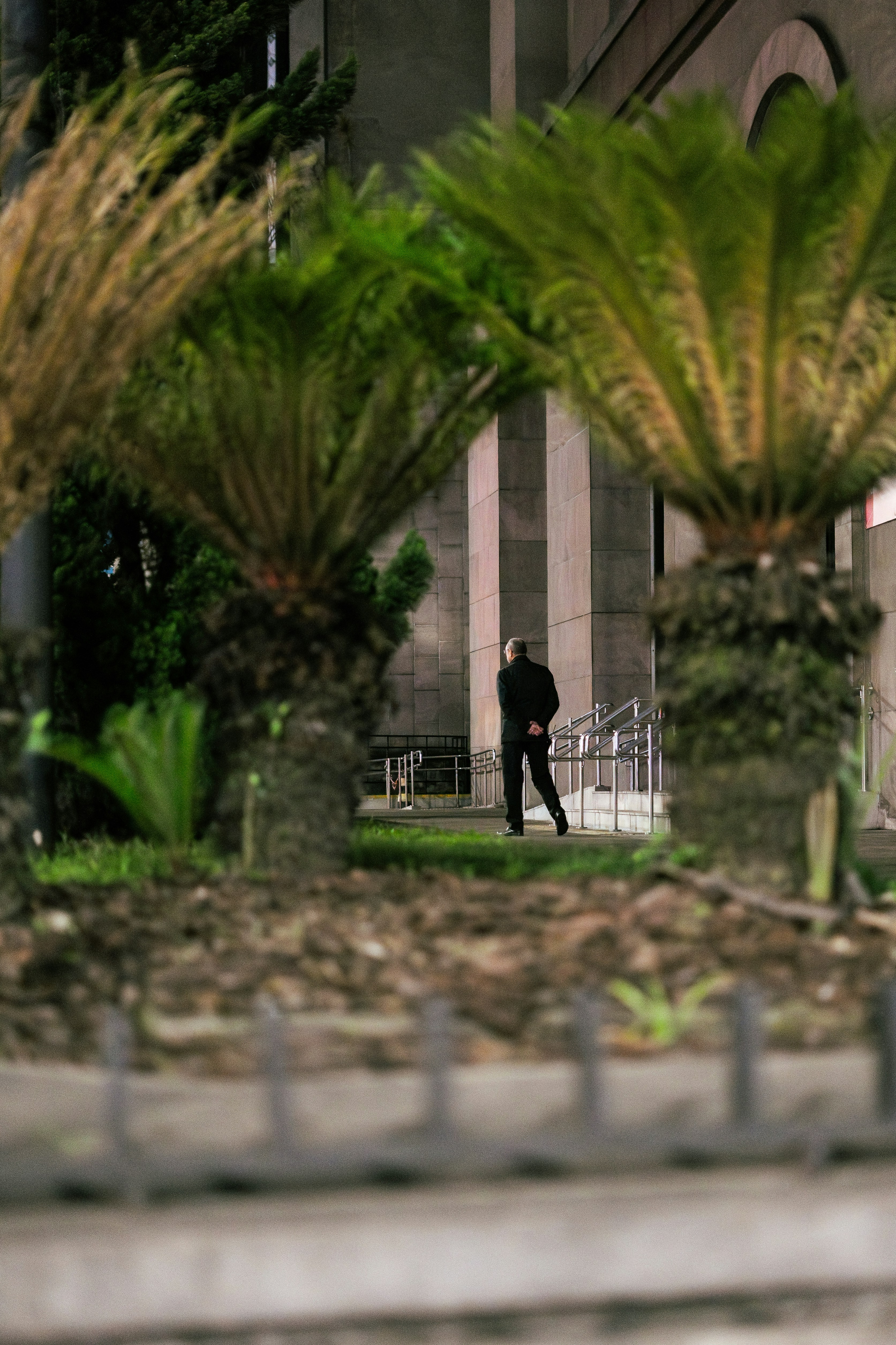 Photo by darwinboaventura