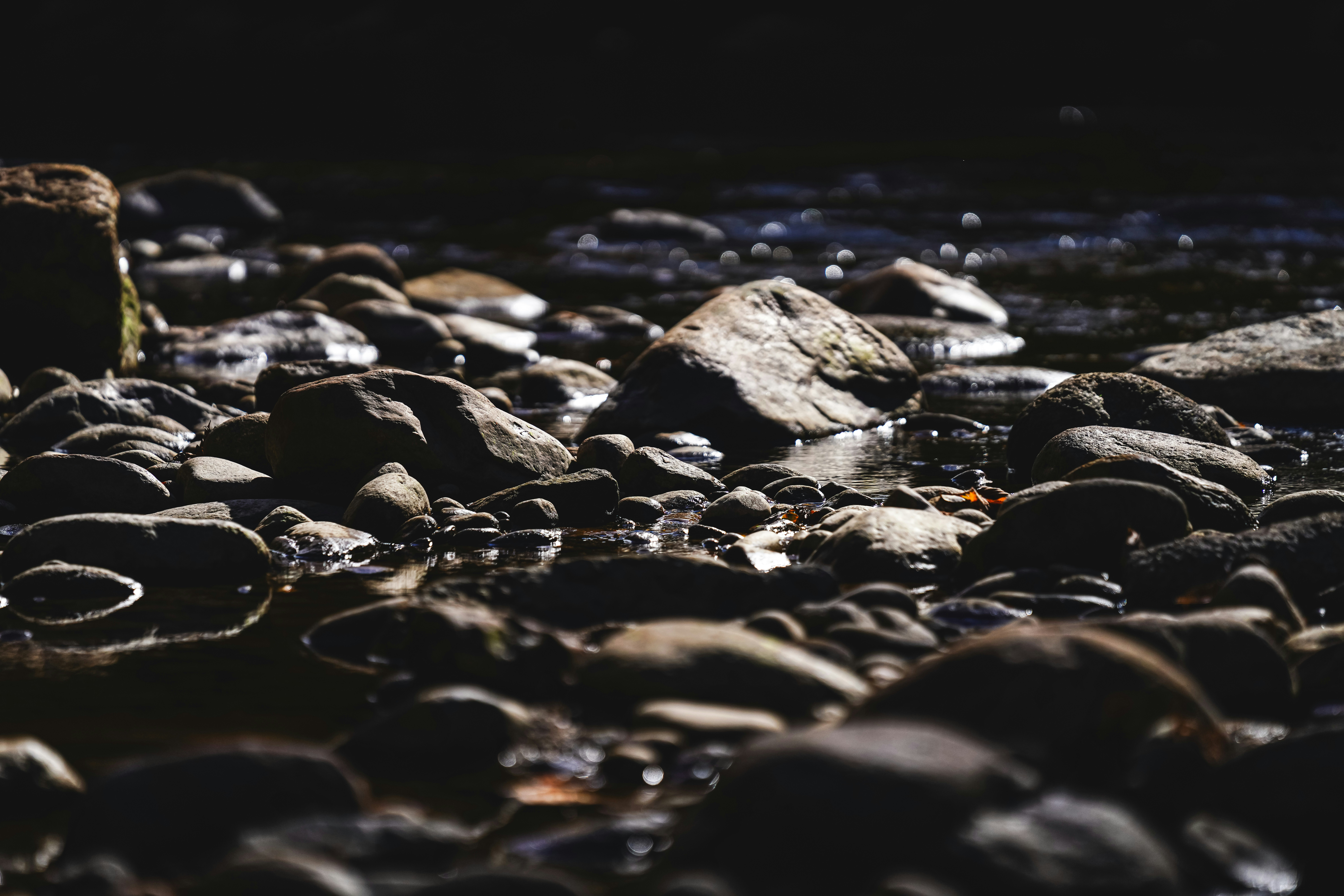 Photo by vasupendyalaa