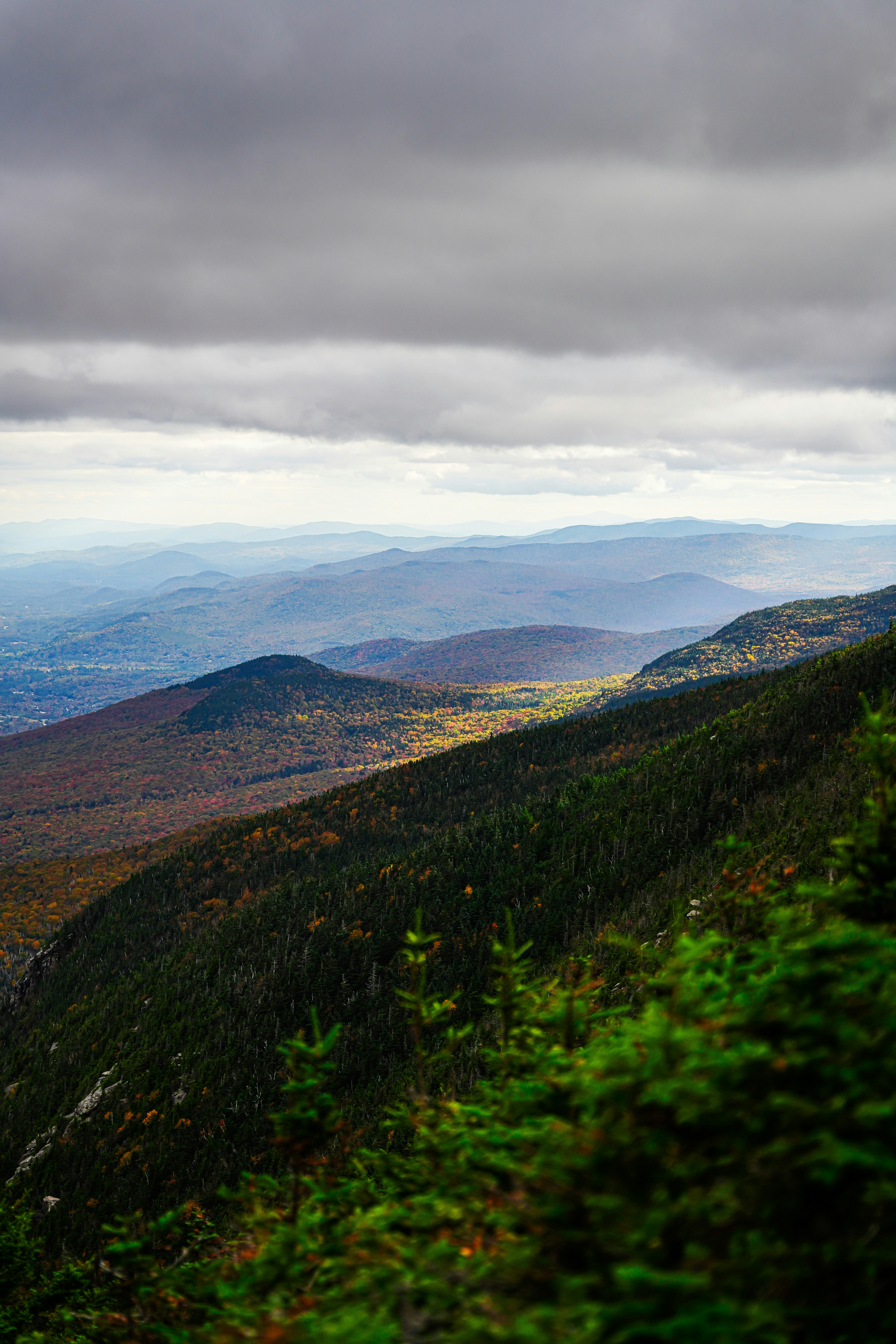 Photo by vasupendyalaa