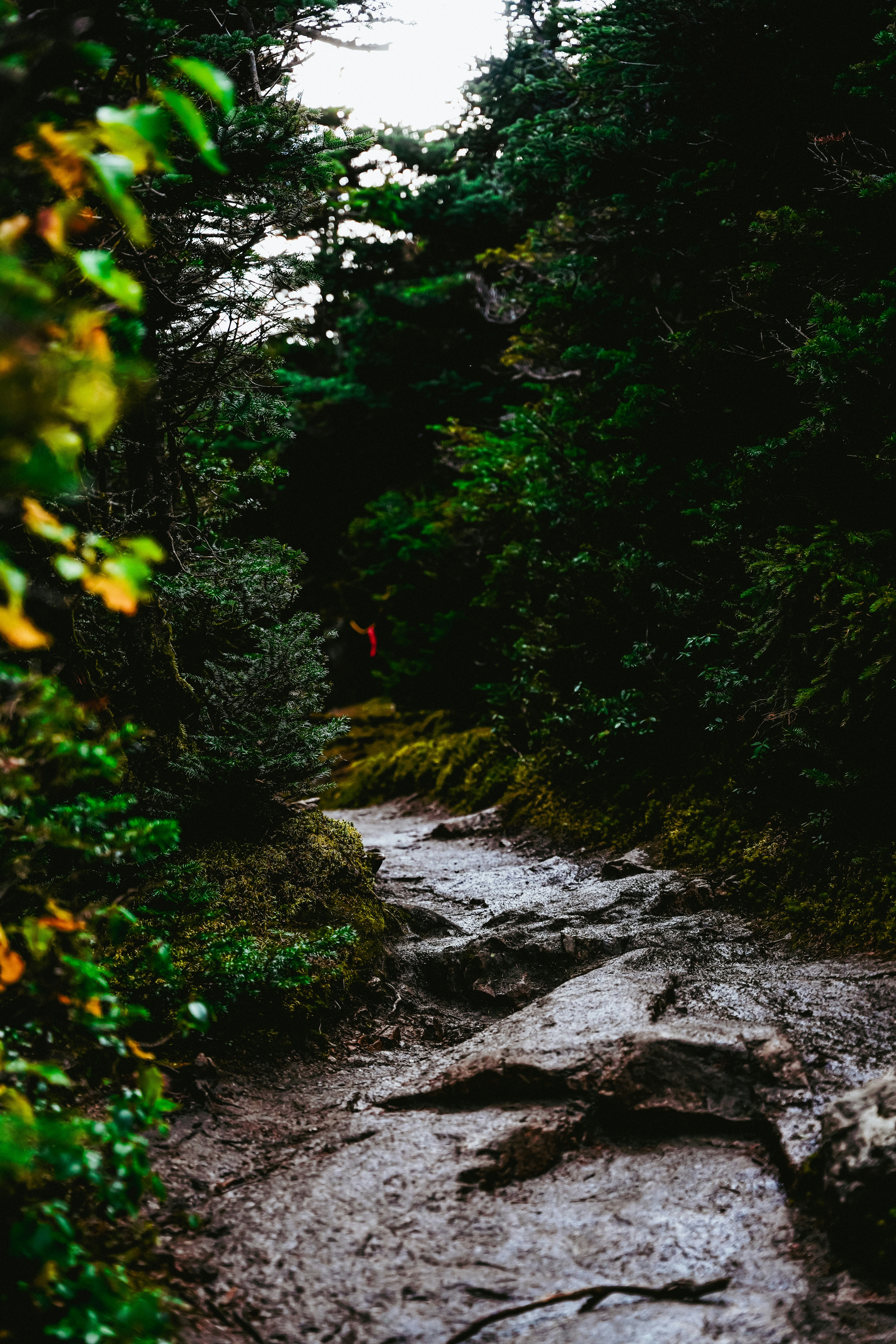 Photo by vasupendyalaa