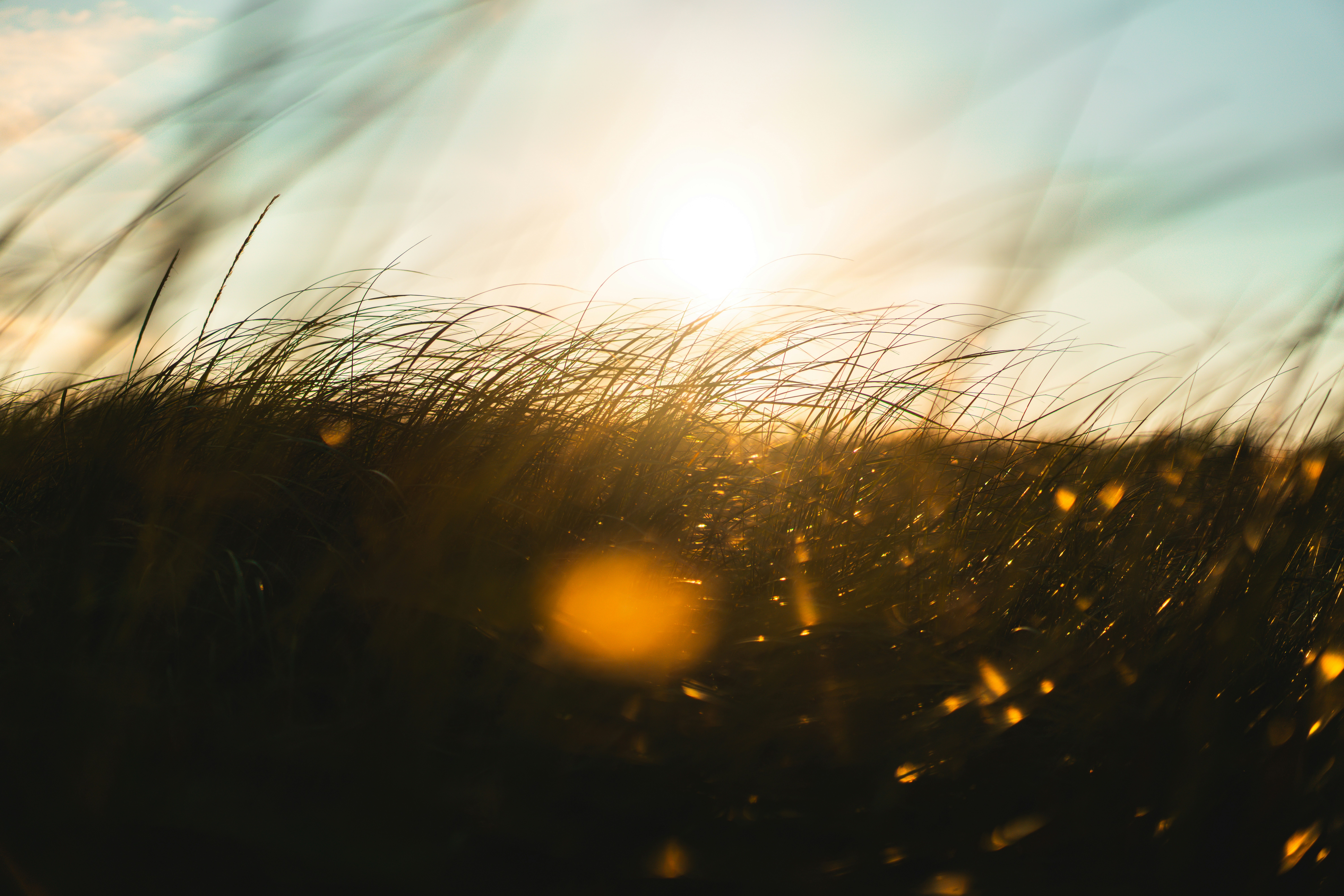 Photo by vasupendyalaa