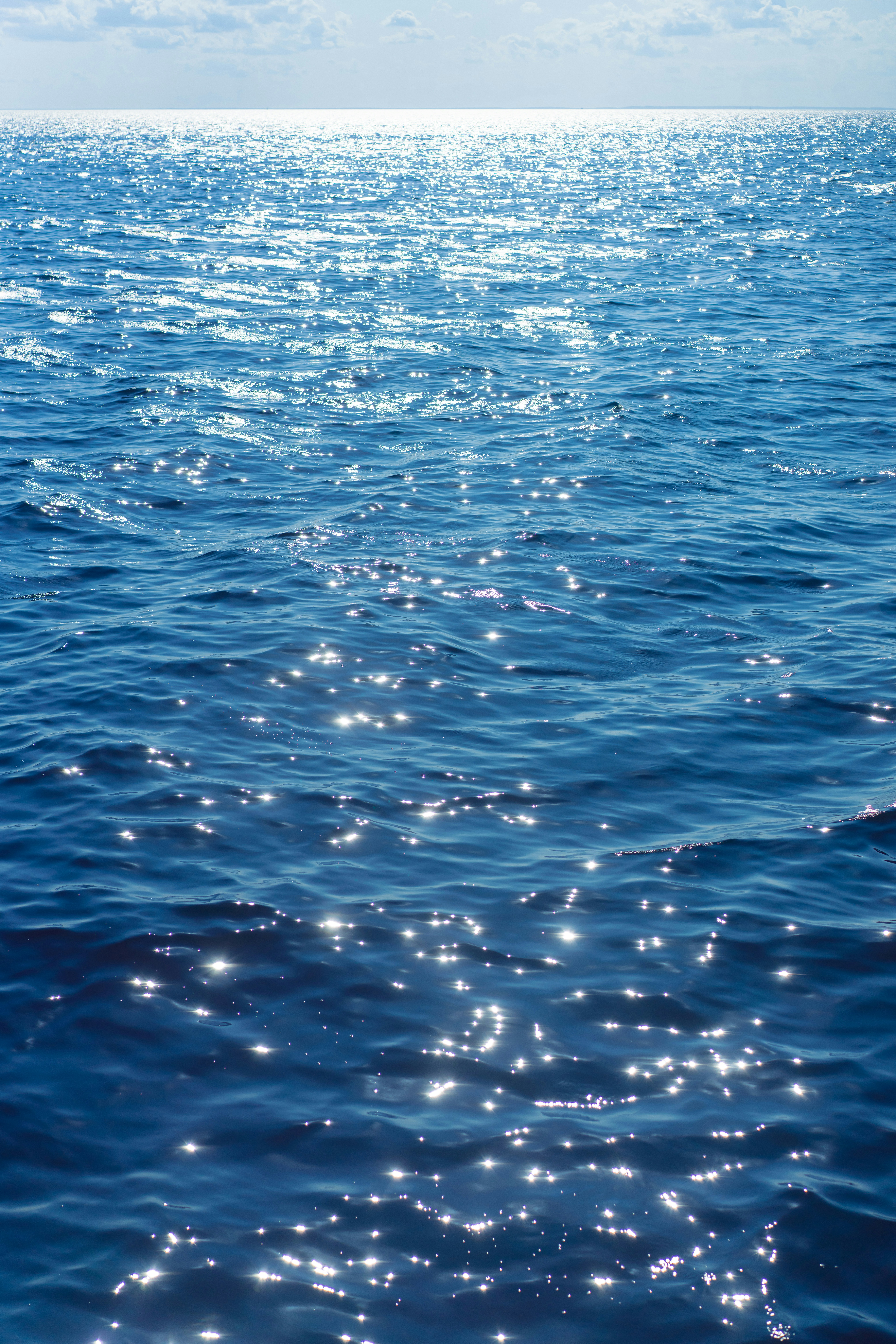 Photo by vasupendyalaa