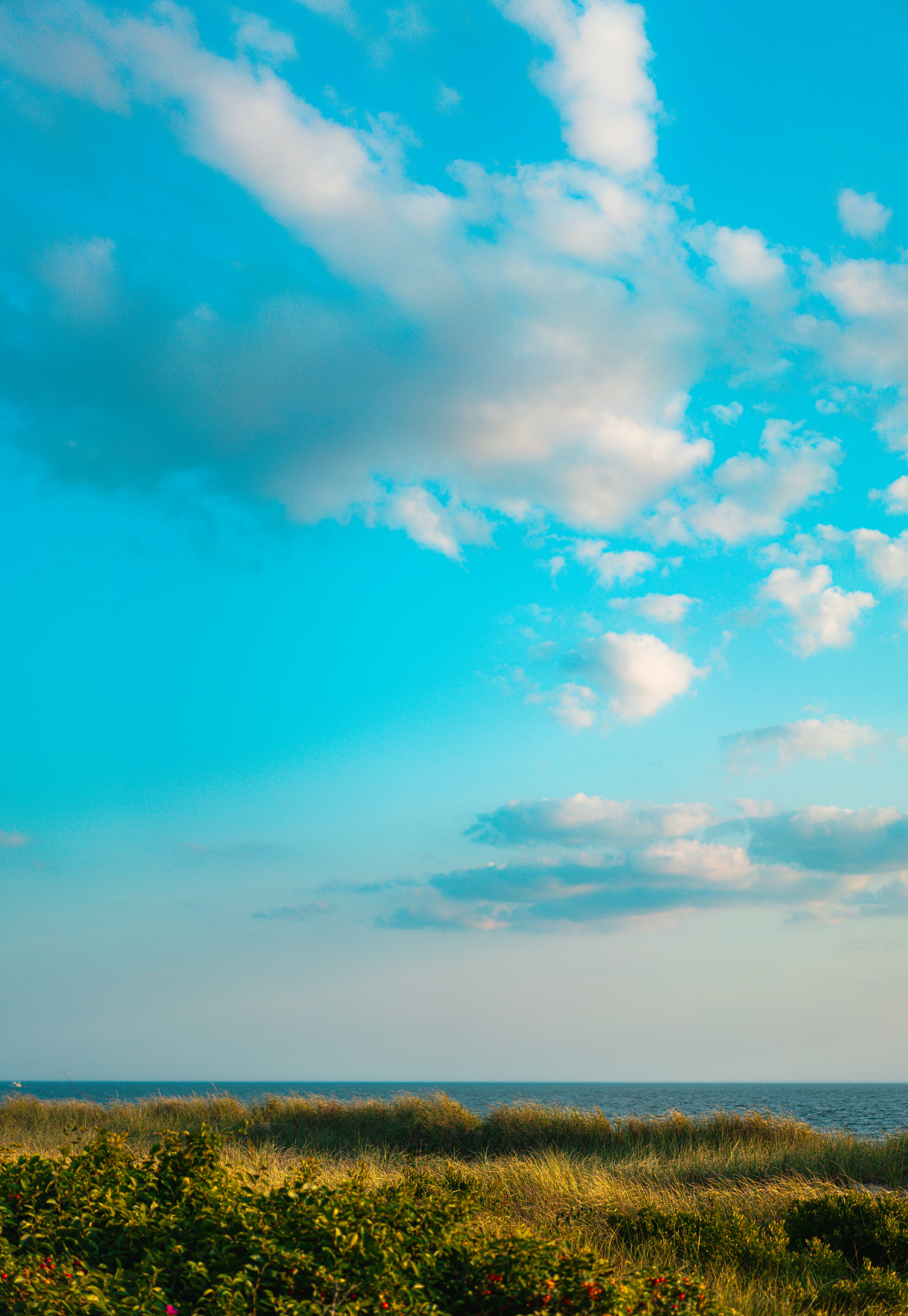 Photo by vasupendyalaa