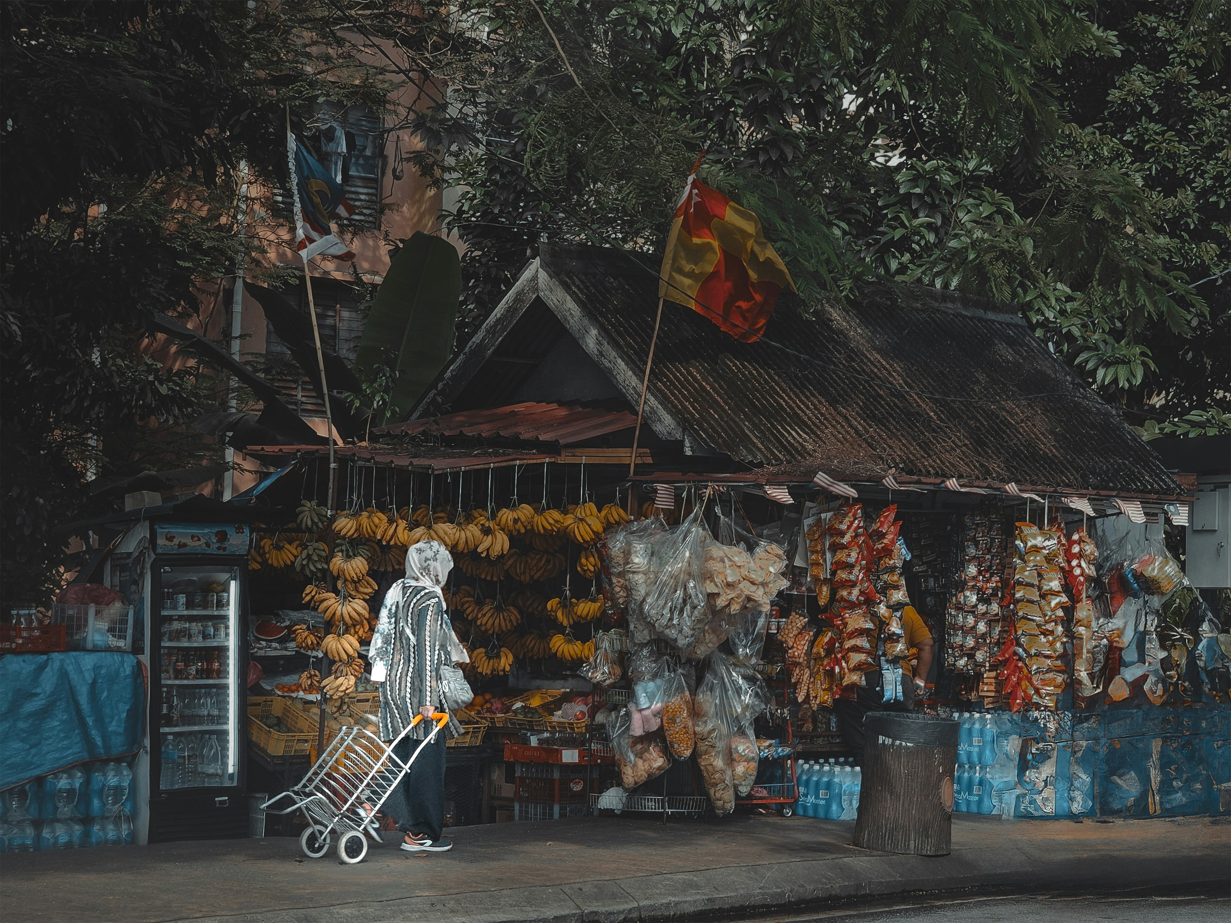 A person with a shopping cart in front of a fruit stand