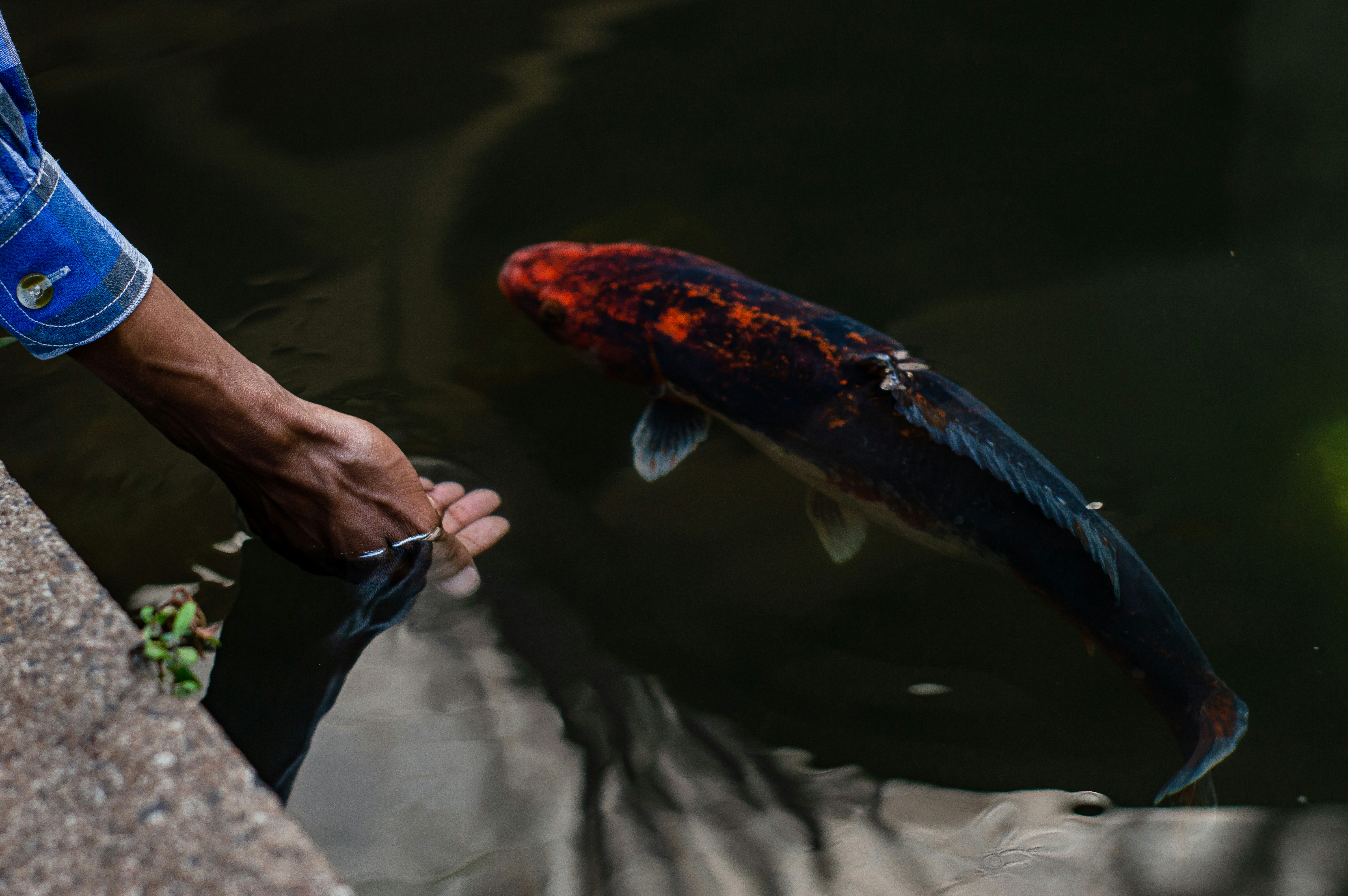 A man is holding a fish in his hand