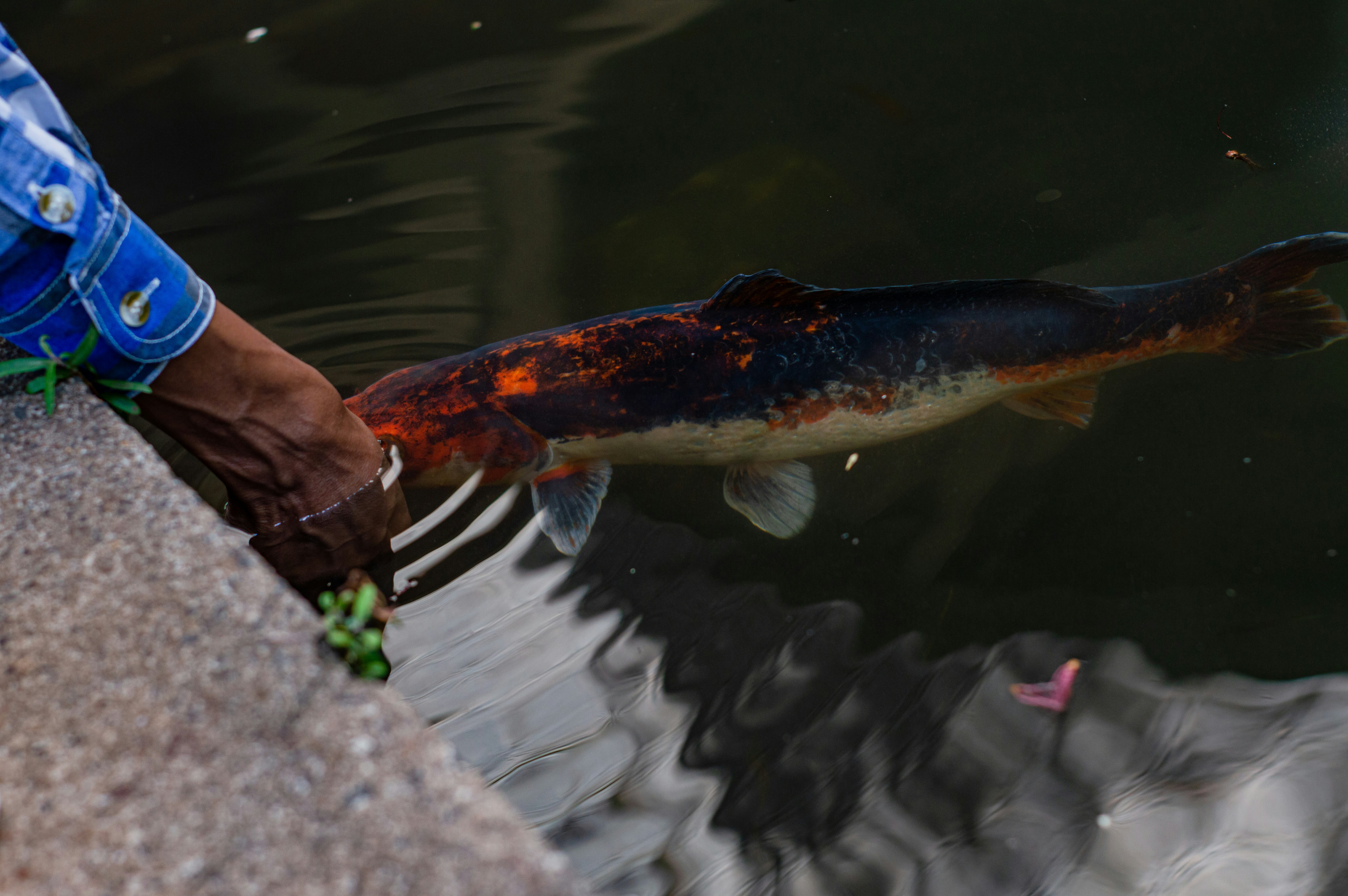 A man standing next to a body of water