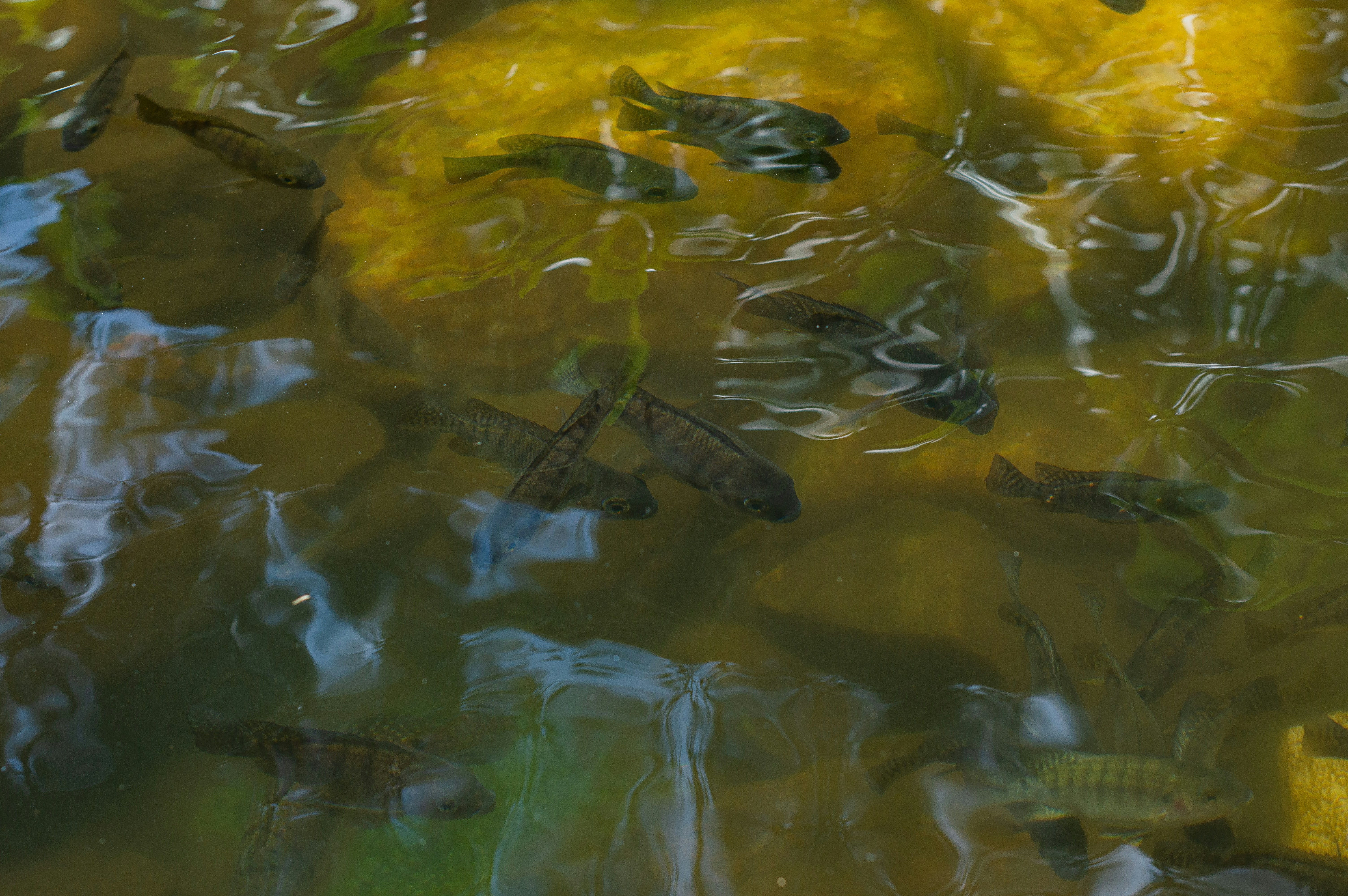 Photo by imsogabriel