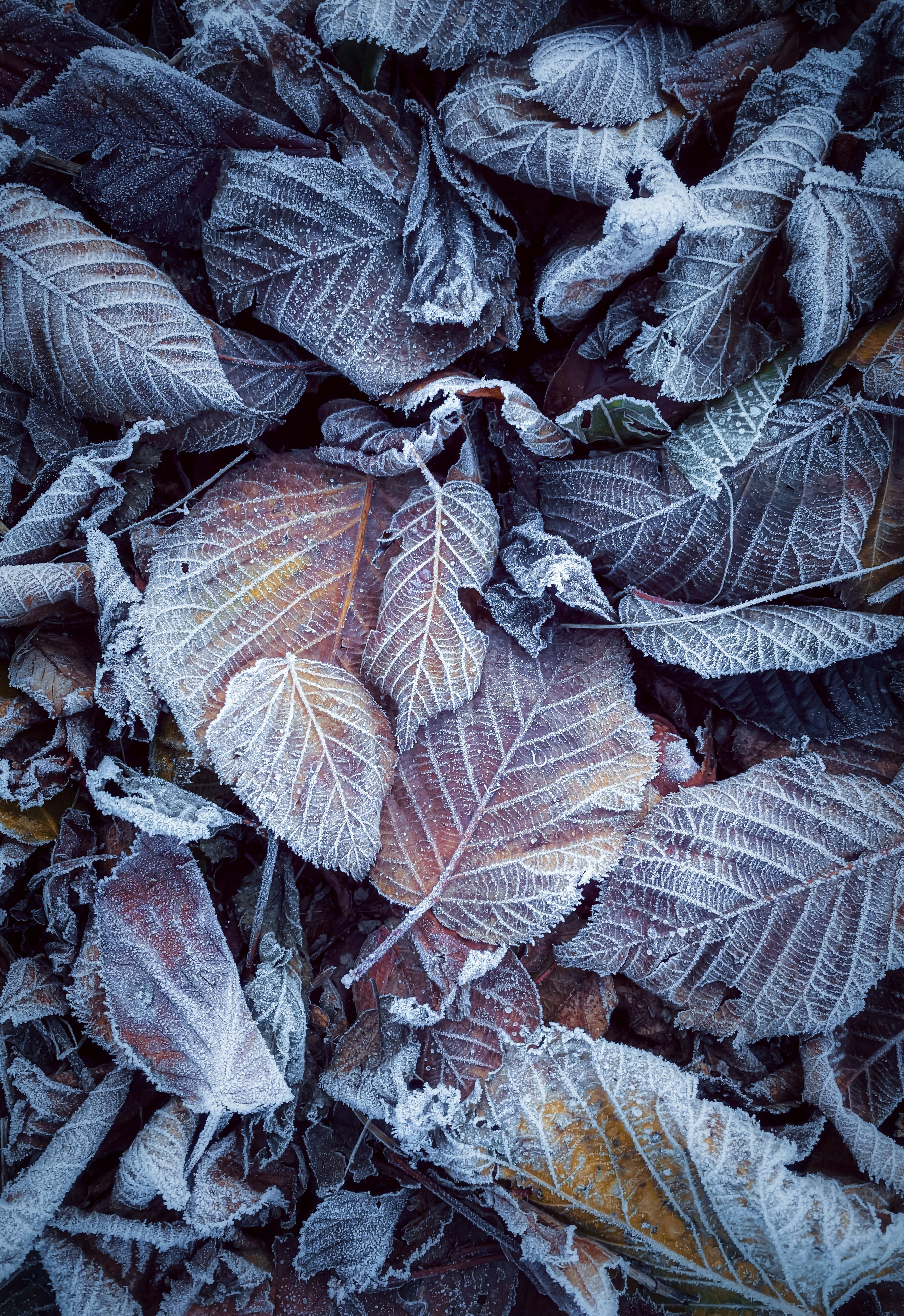 Photo by eugene_golovesov