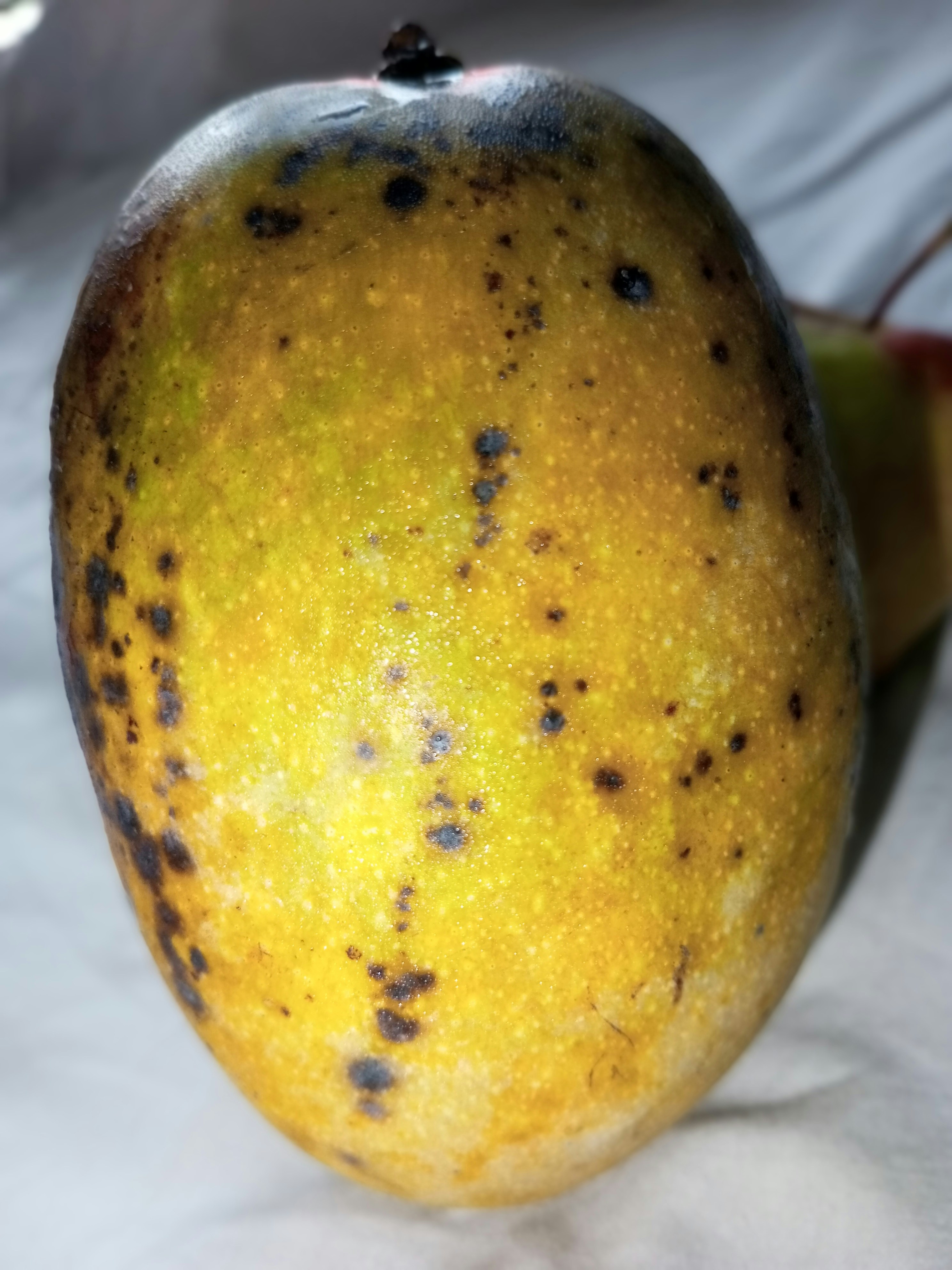 Golden mango pulp in dark atmospheric setting, warm golden highlights against dark background