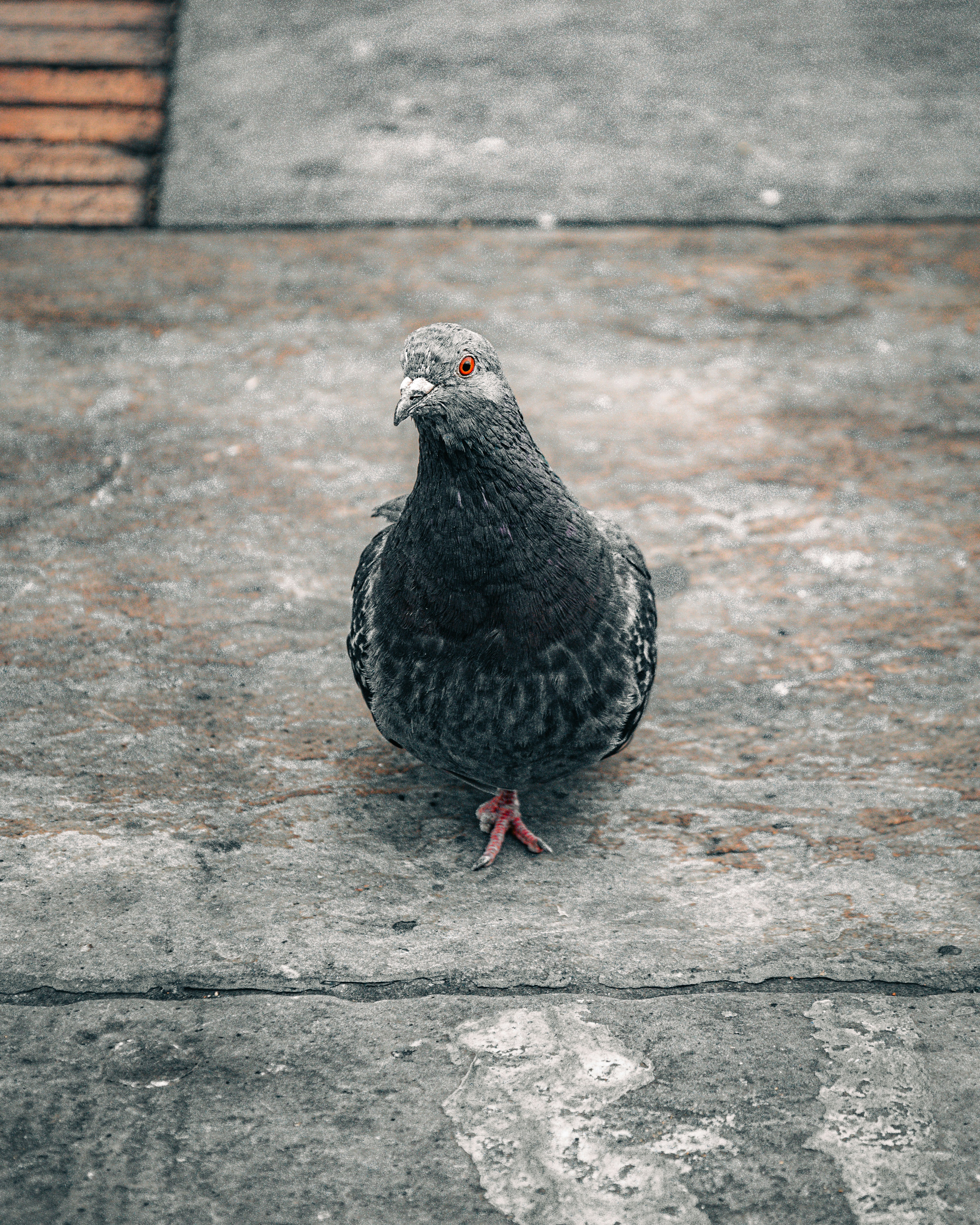 Photo by itscarlosmartinex