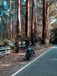 A motorcycle parked on the side of a road