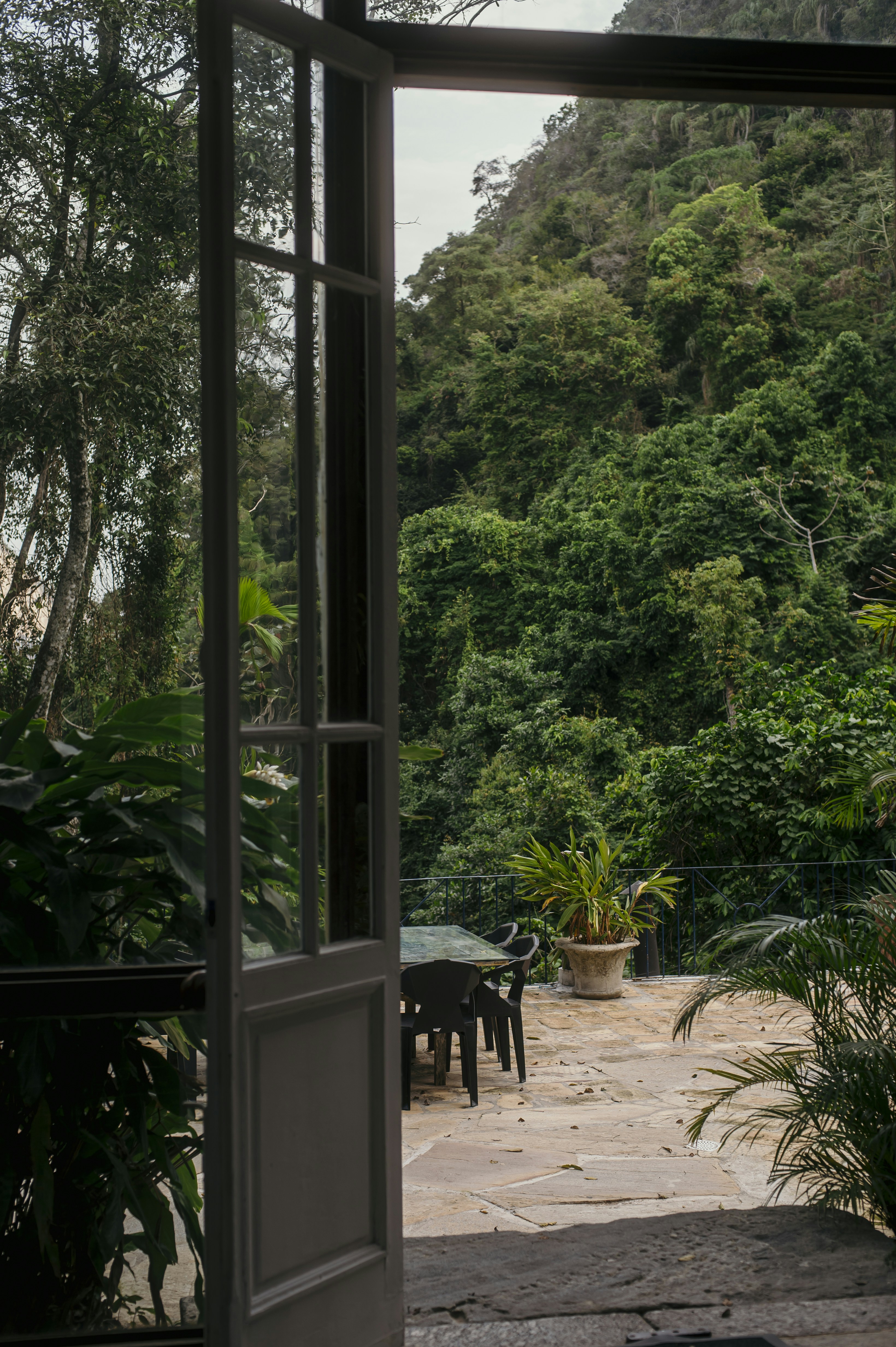 An open door leading to a lush green forest
