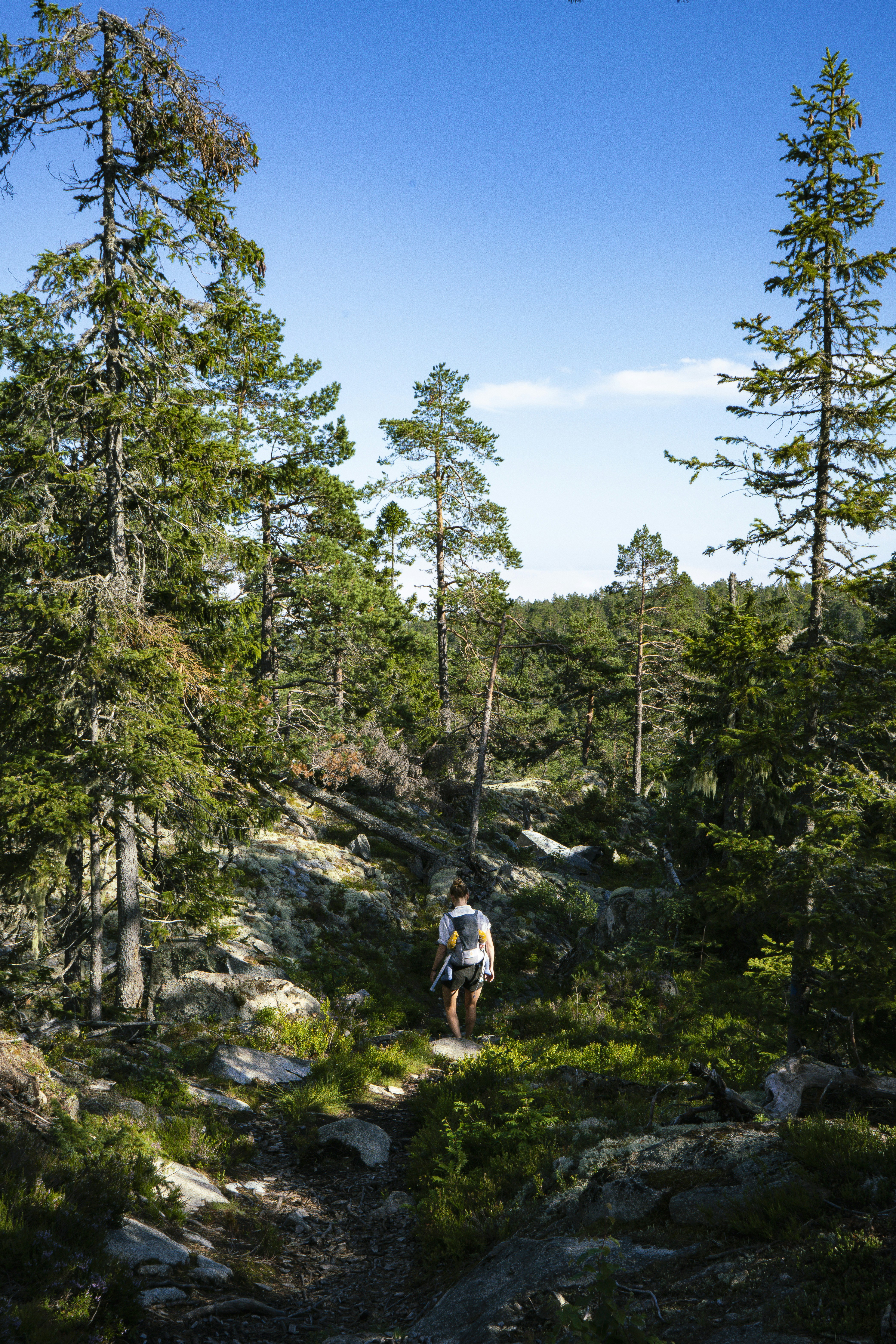 Hiking trail with a scenic view of the Göteborger Schärengarten