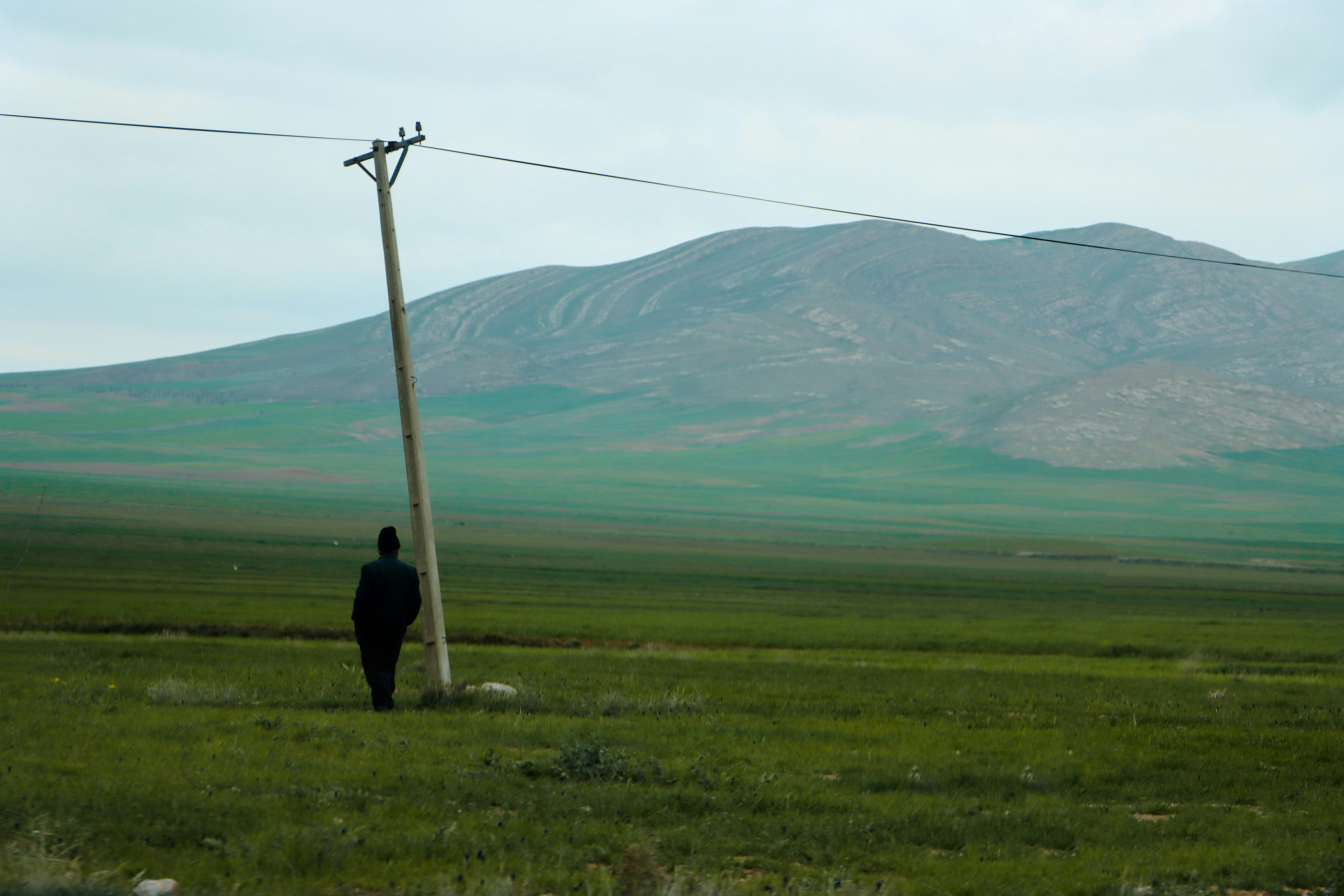 A lone person standing in a field with a mountain in the background