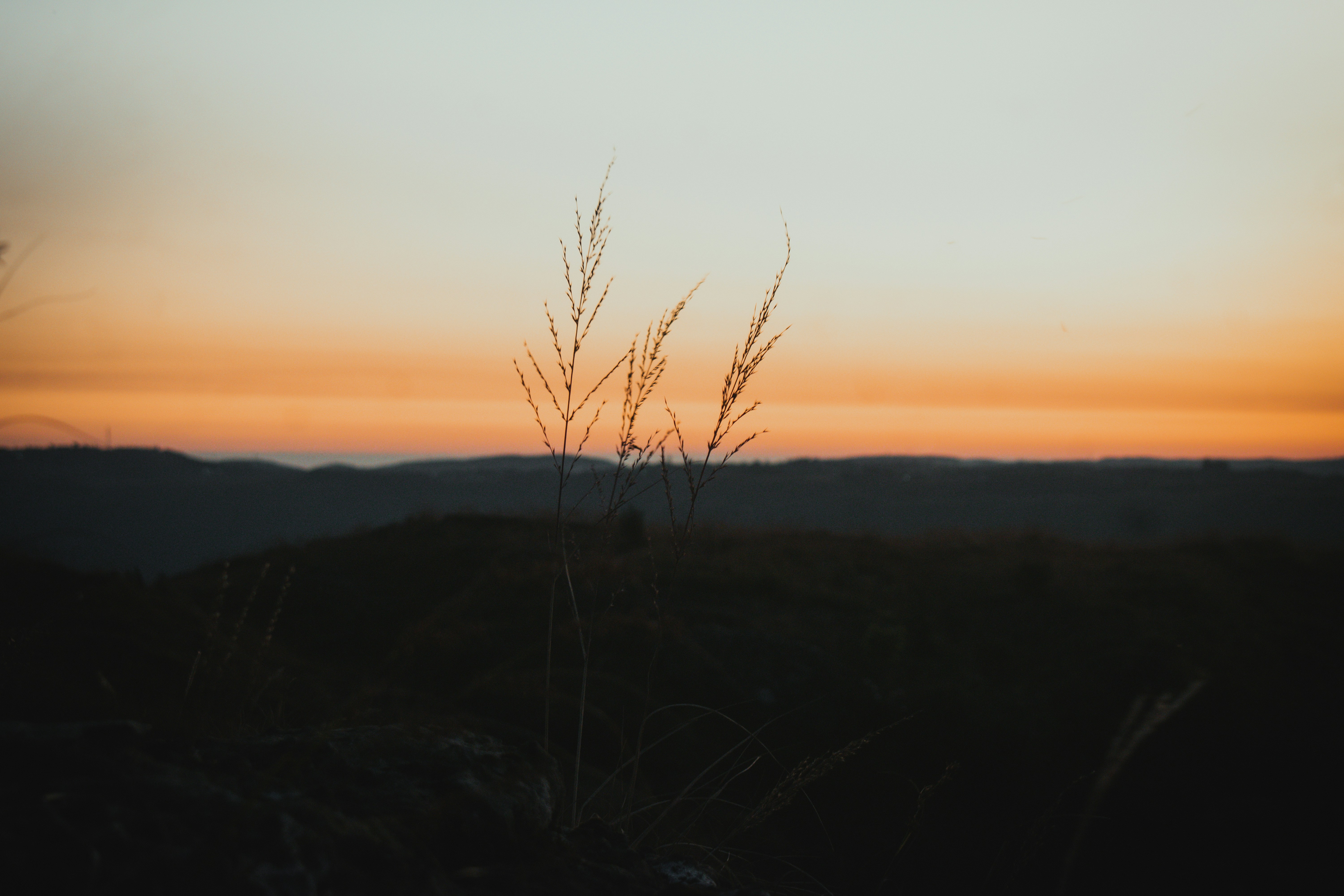 Photo by blissed_shots