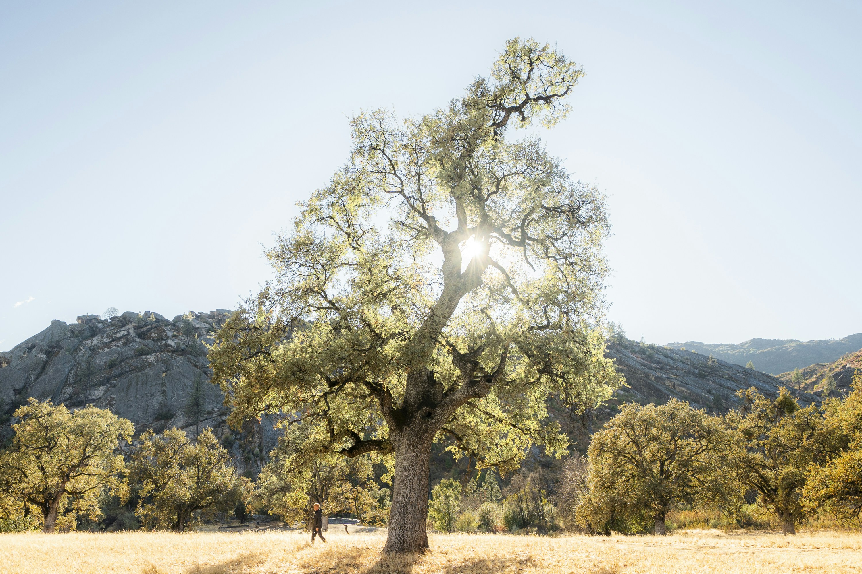 Daily Productive Sharing 1111 - Unlearning