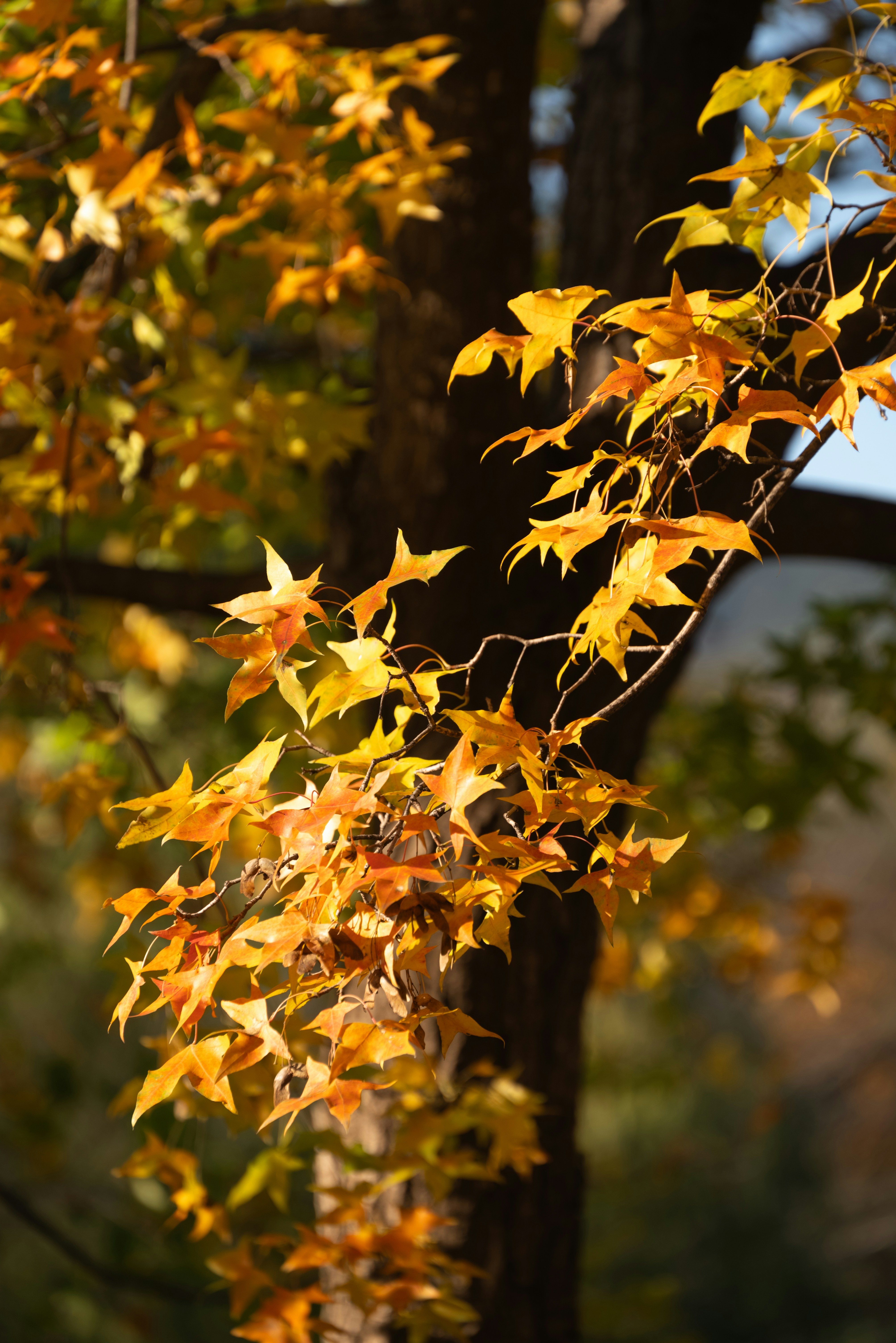 Photo by nikol_royce