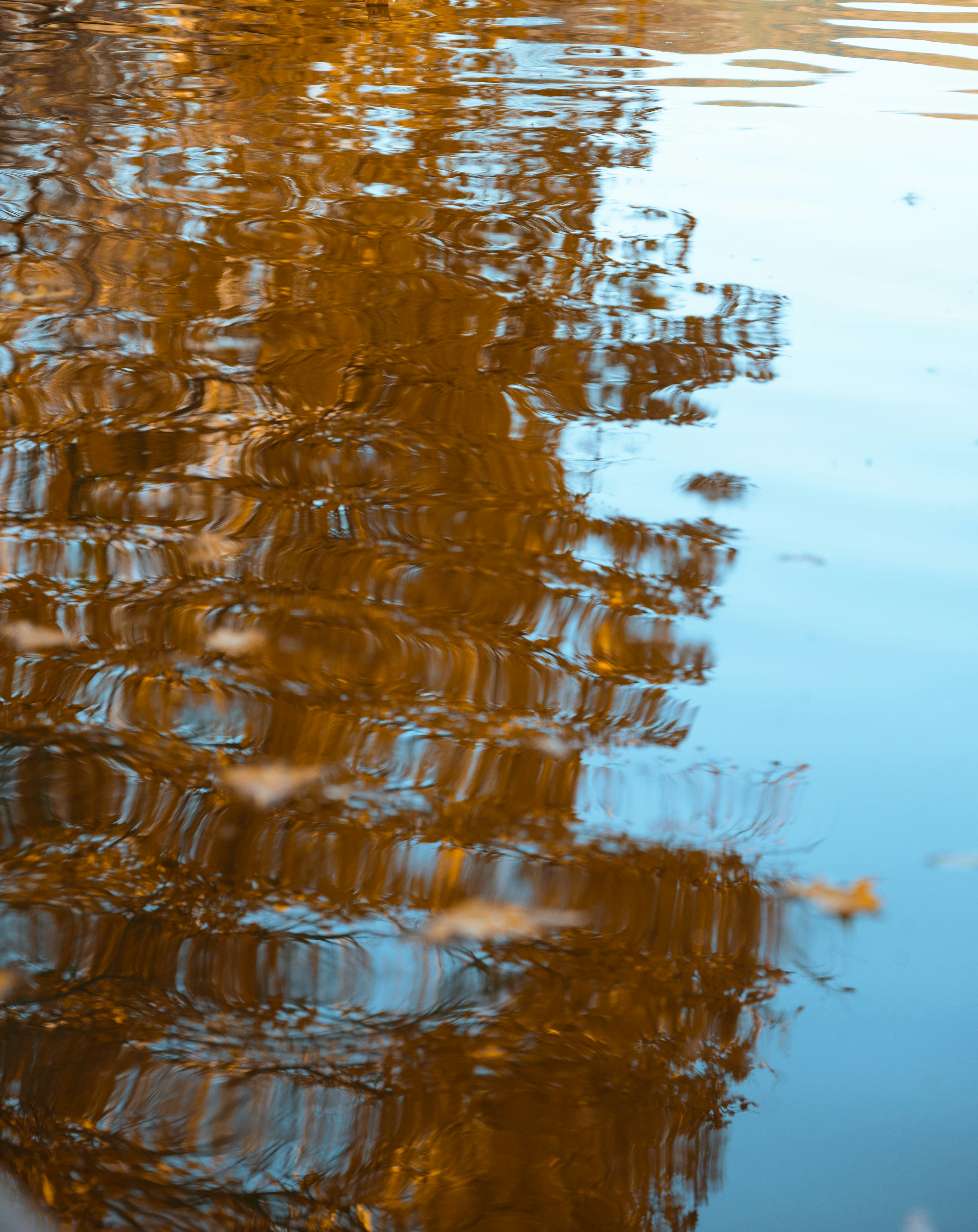 Photo by nikol_royce