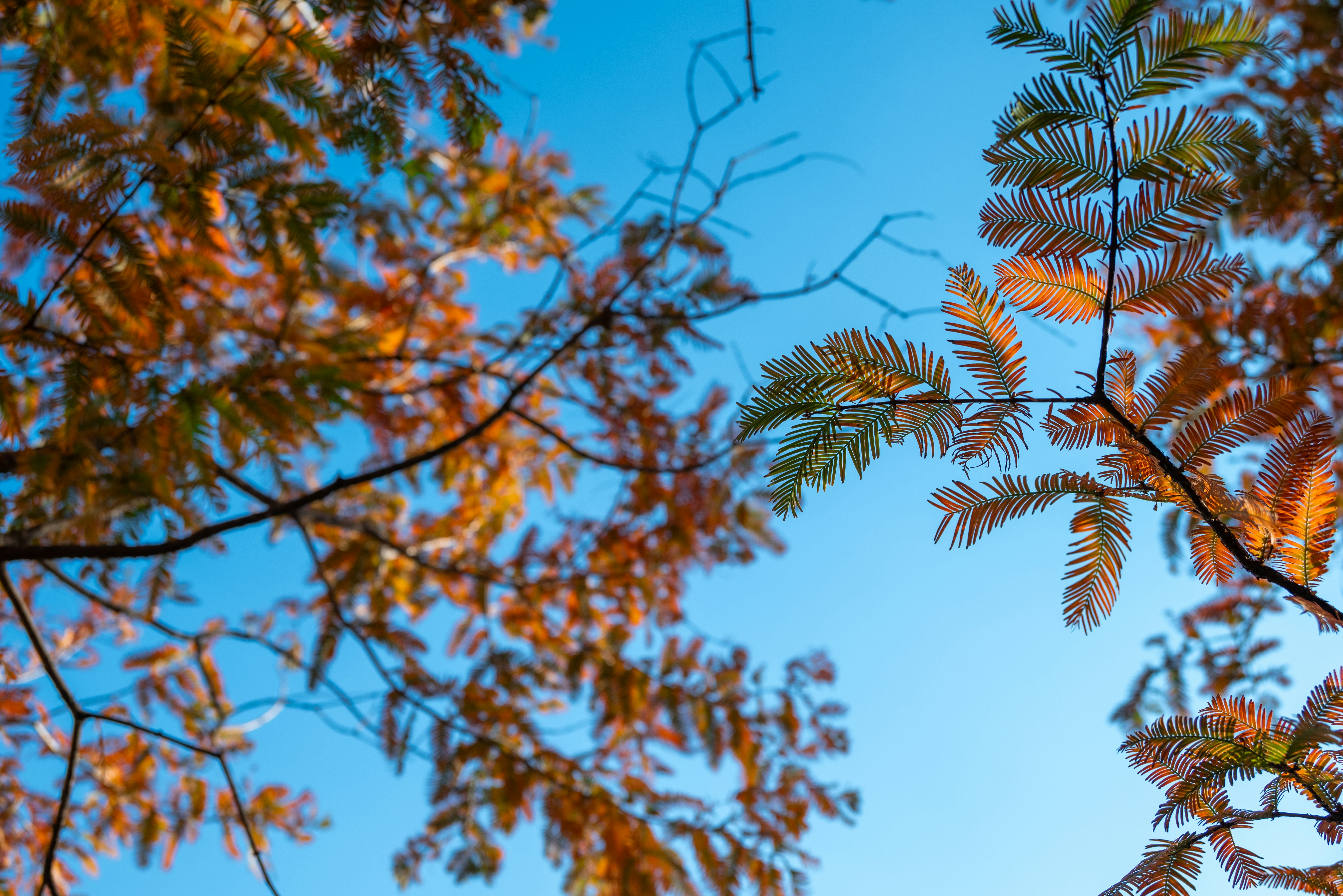 Photo by nikol_royce