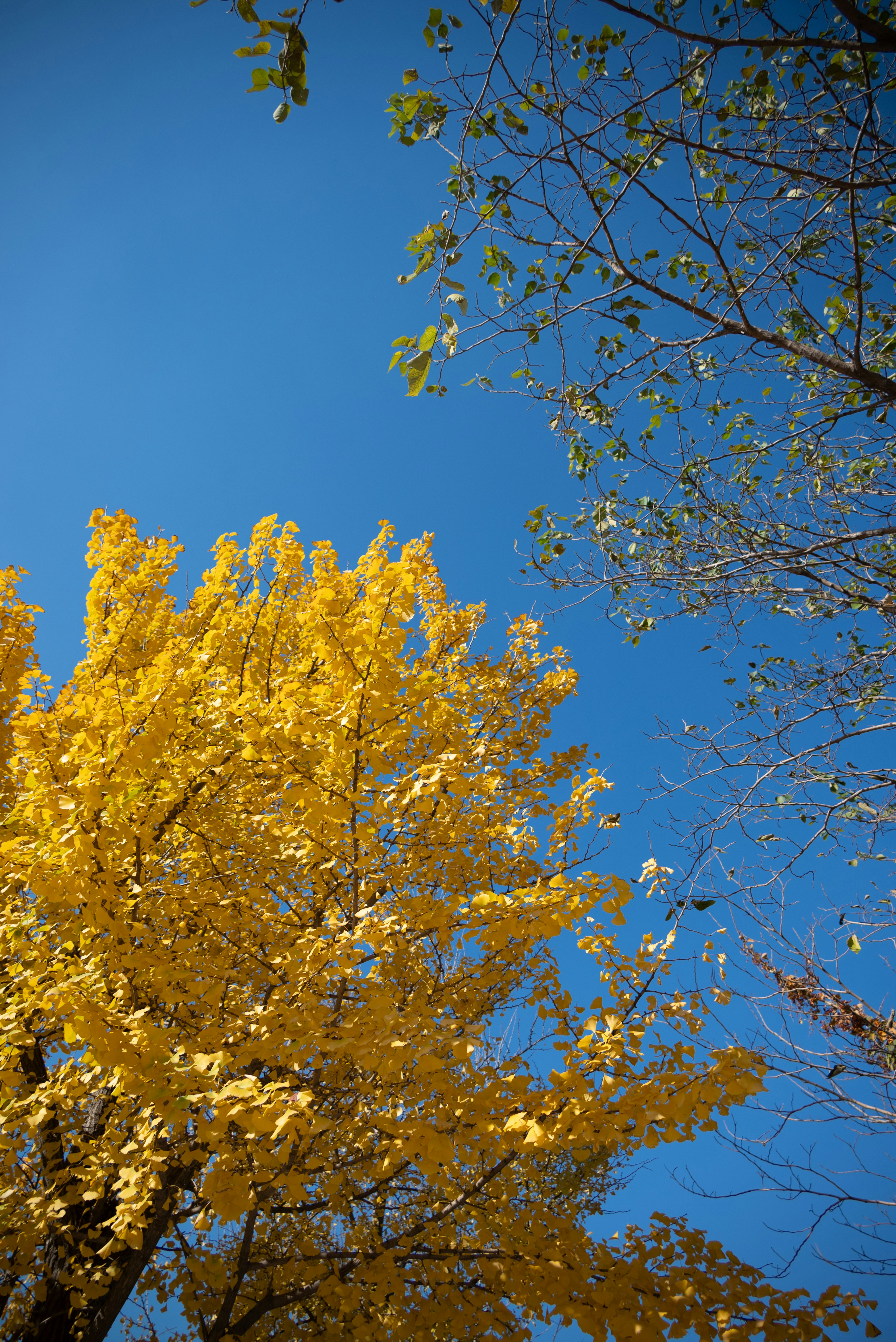 Photo by nikol_royce