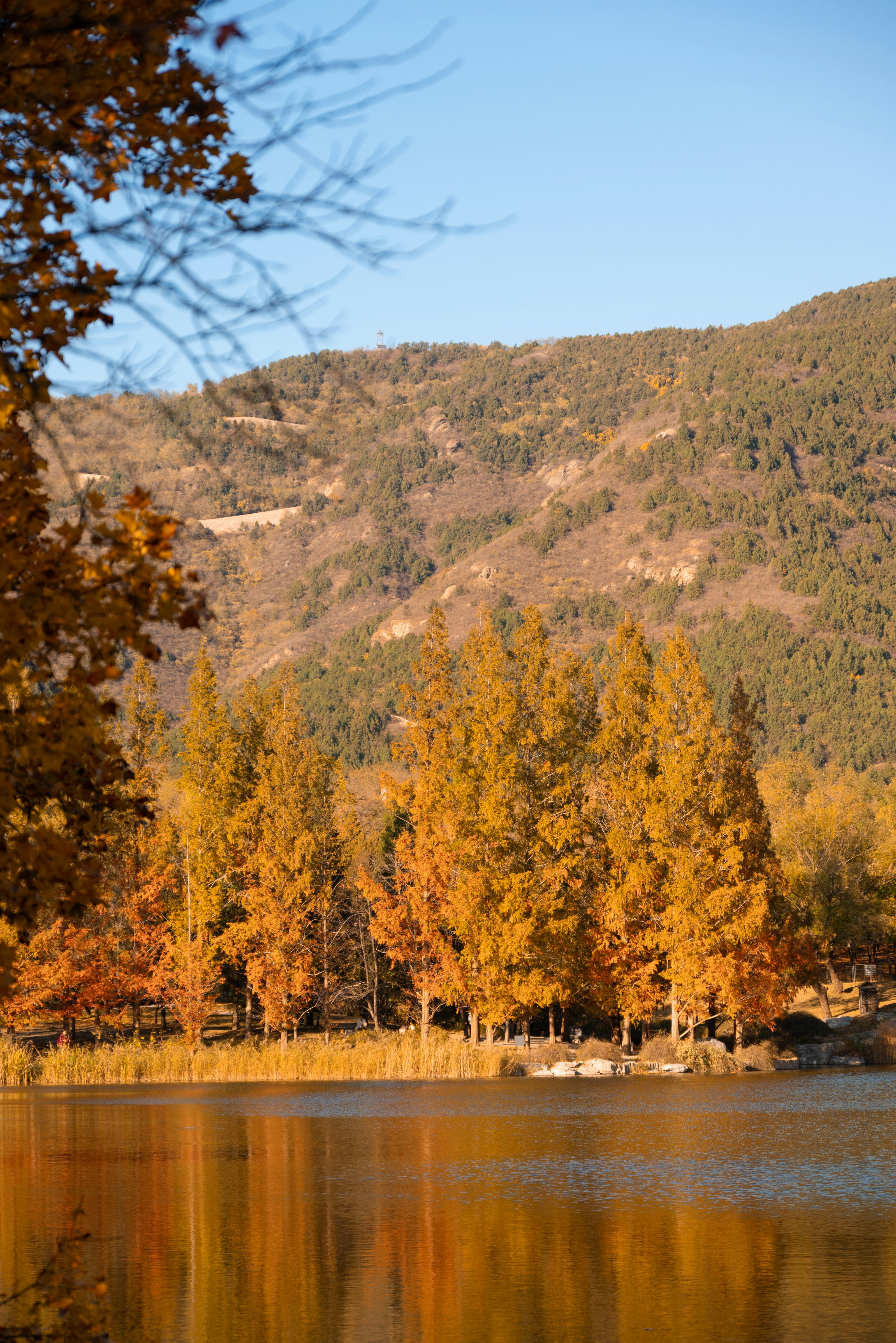 Photo by nikol_royce