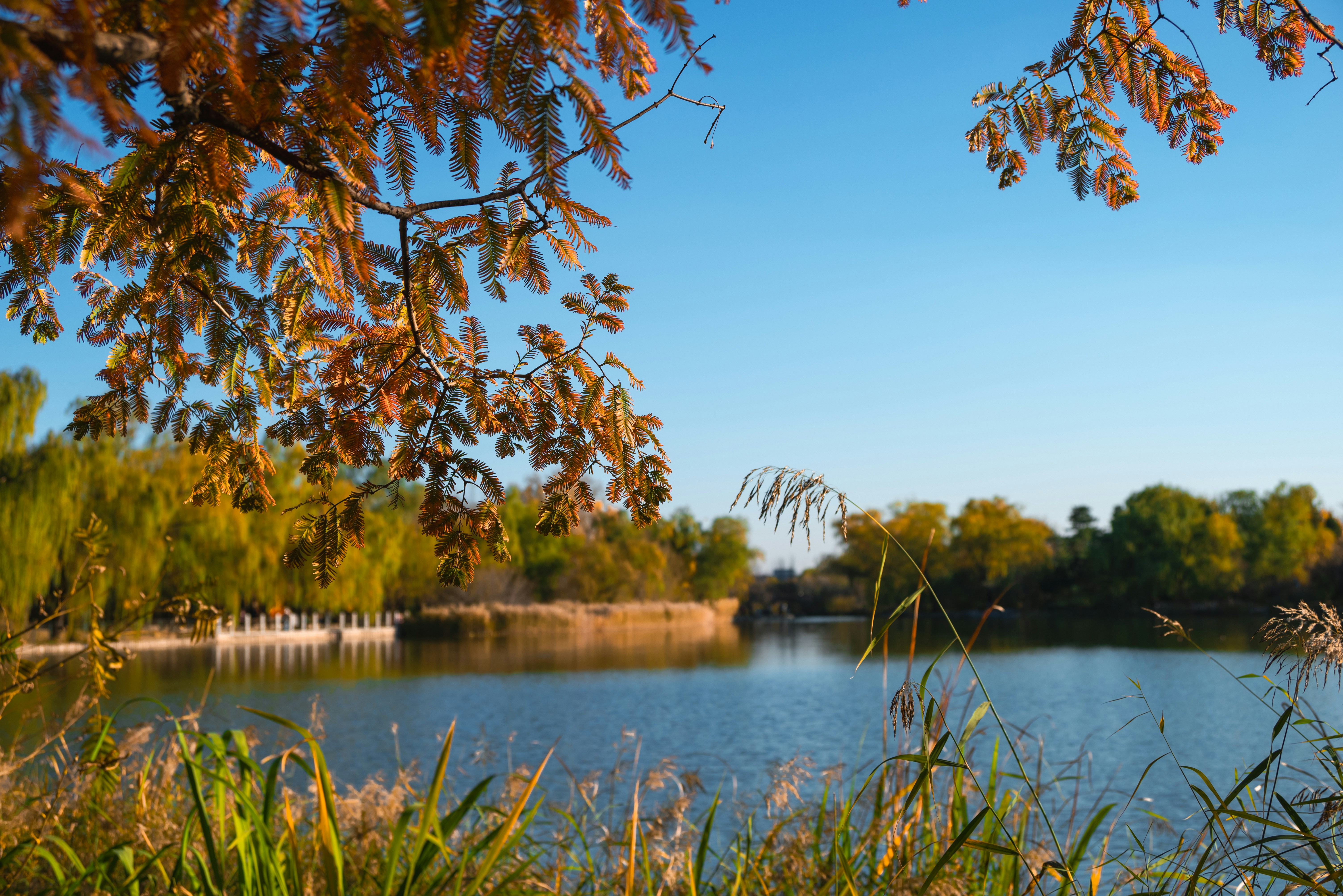 Photo by nikol_royce