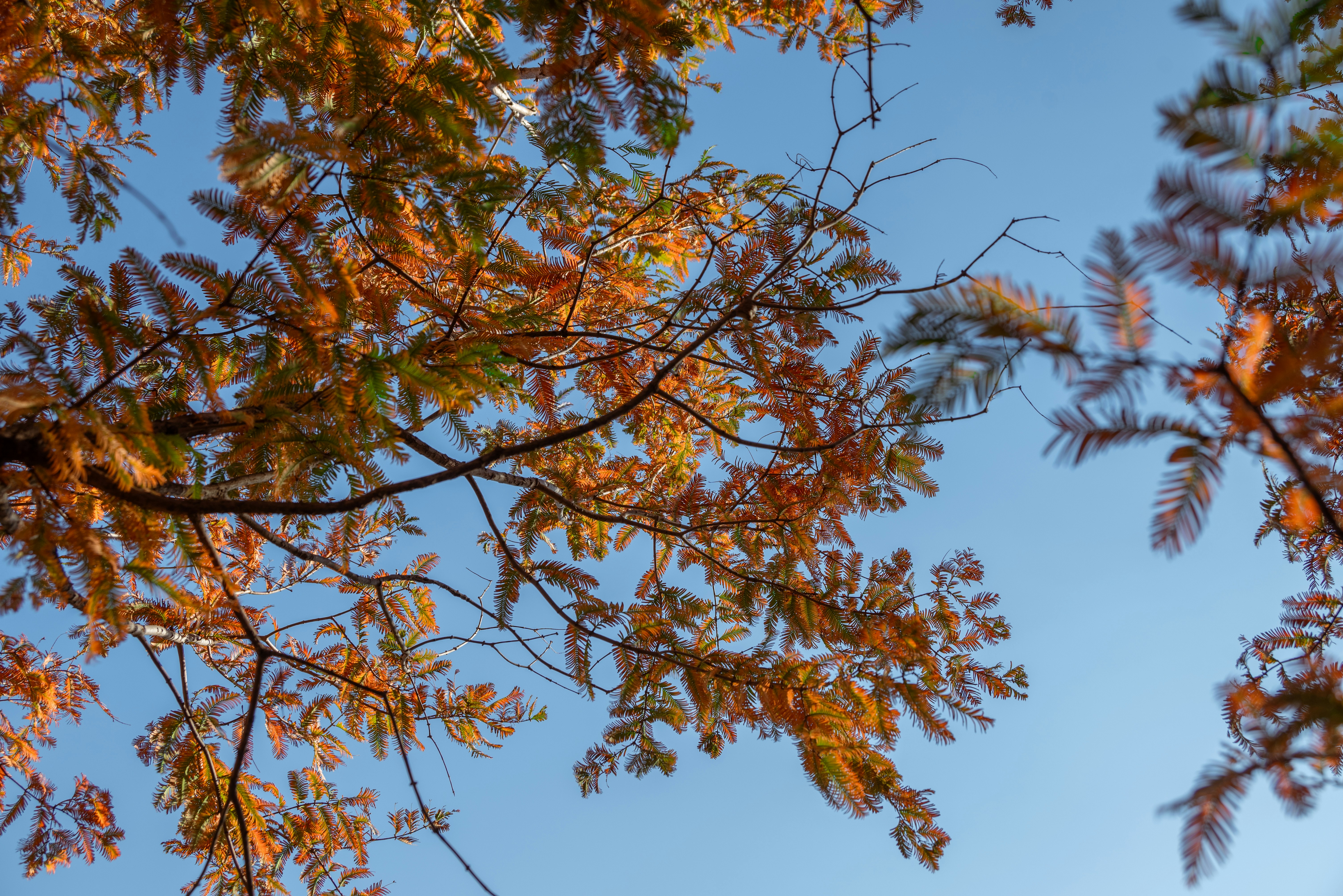 Photo by nikol_royce