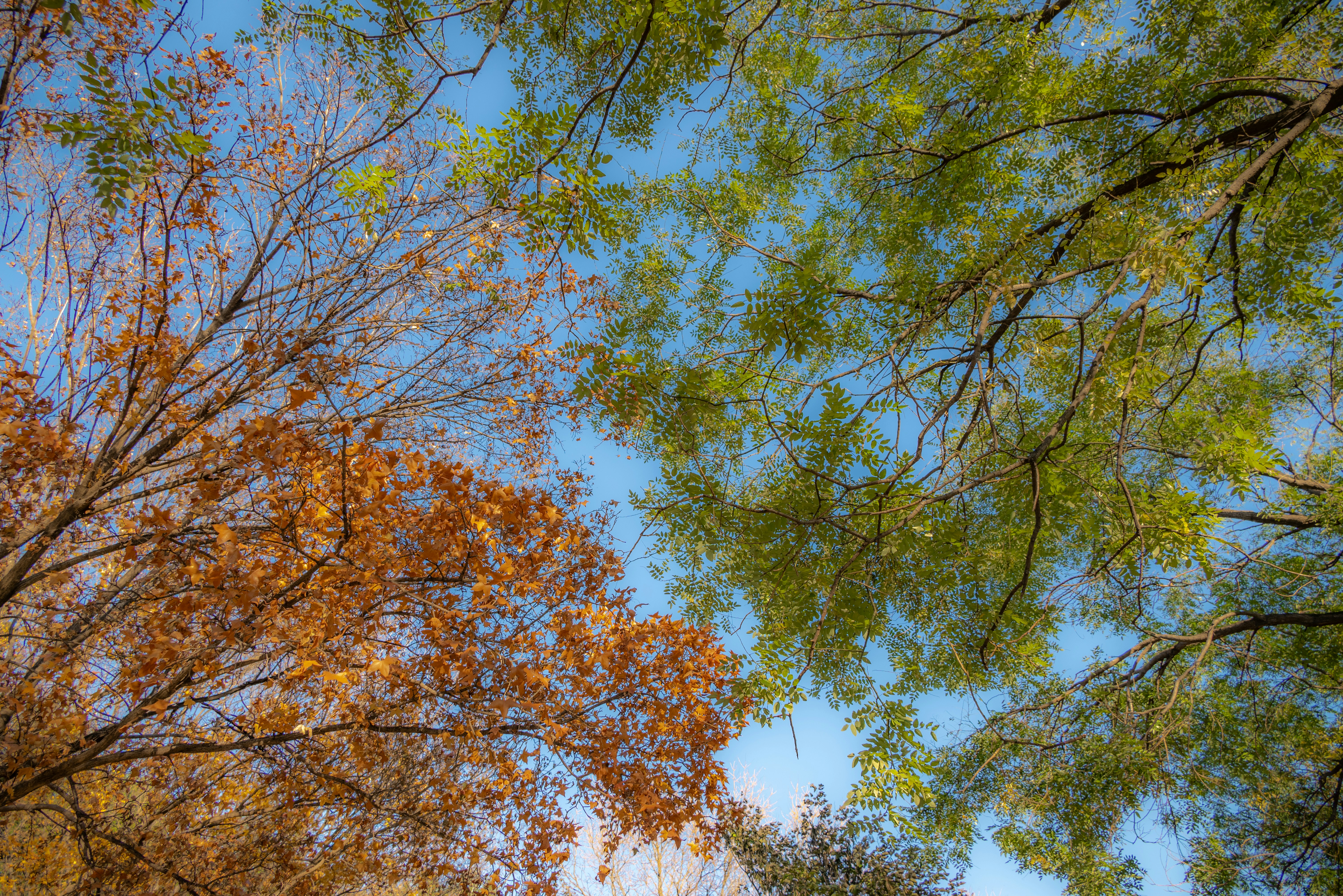 Photo by nikol_royce