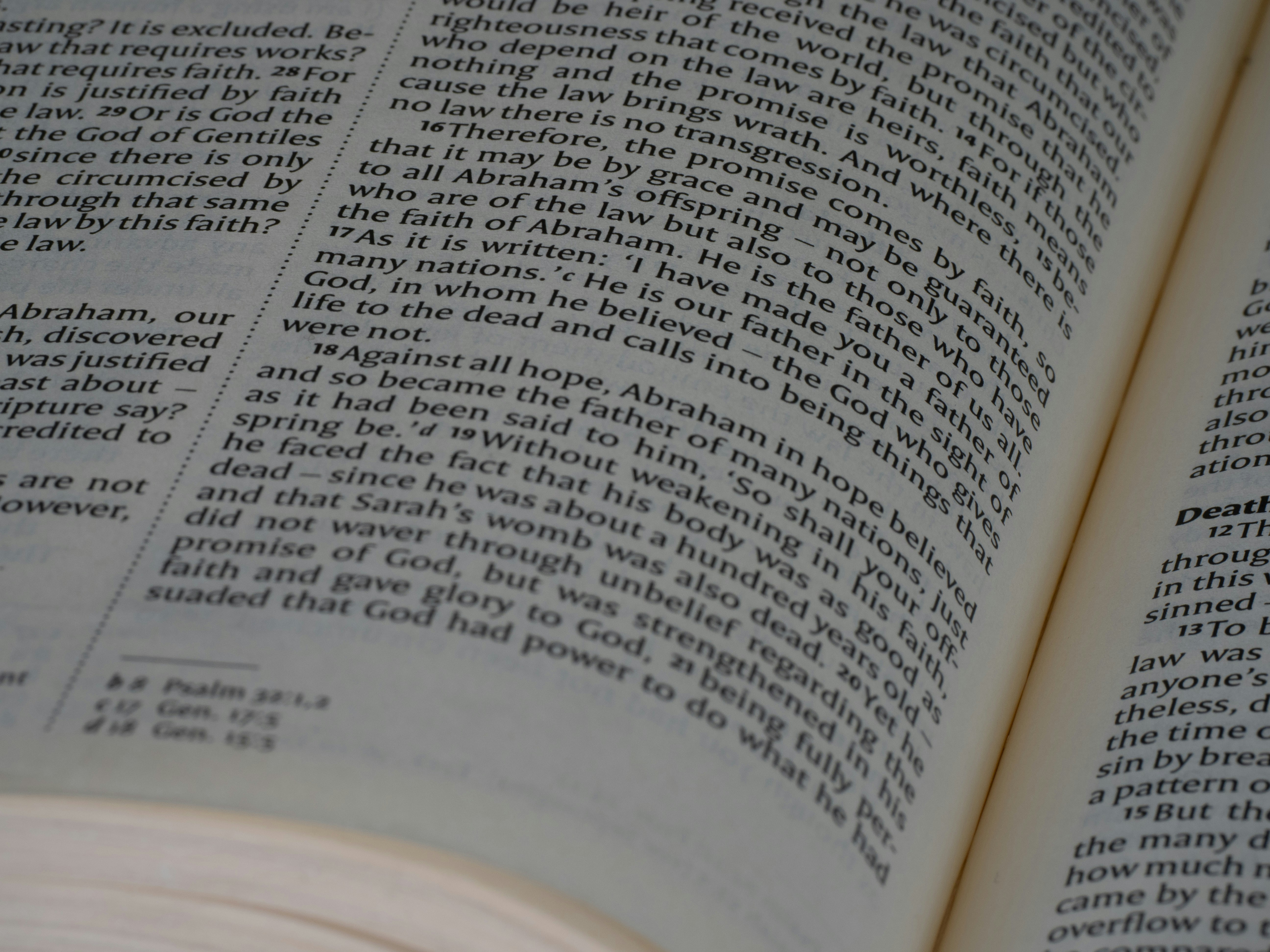 Photo by brett_jordan