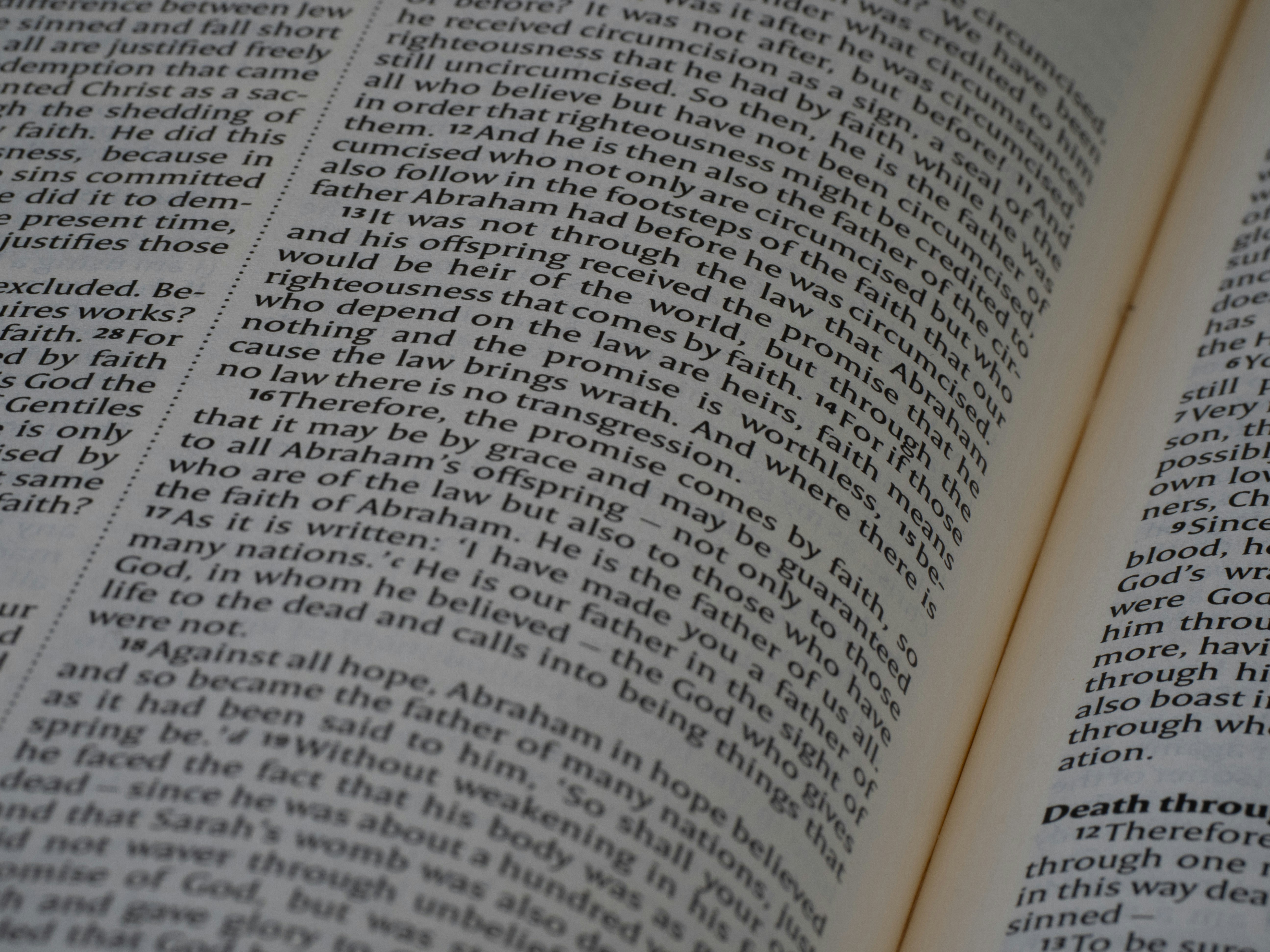 Photo by brett_jordan