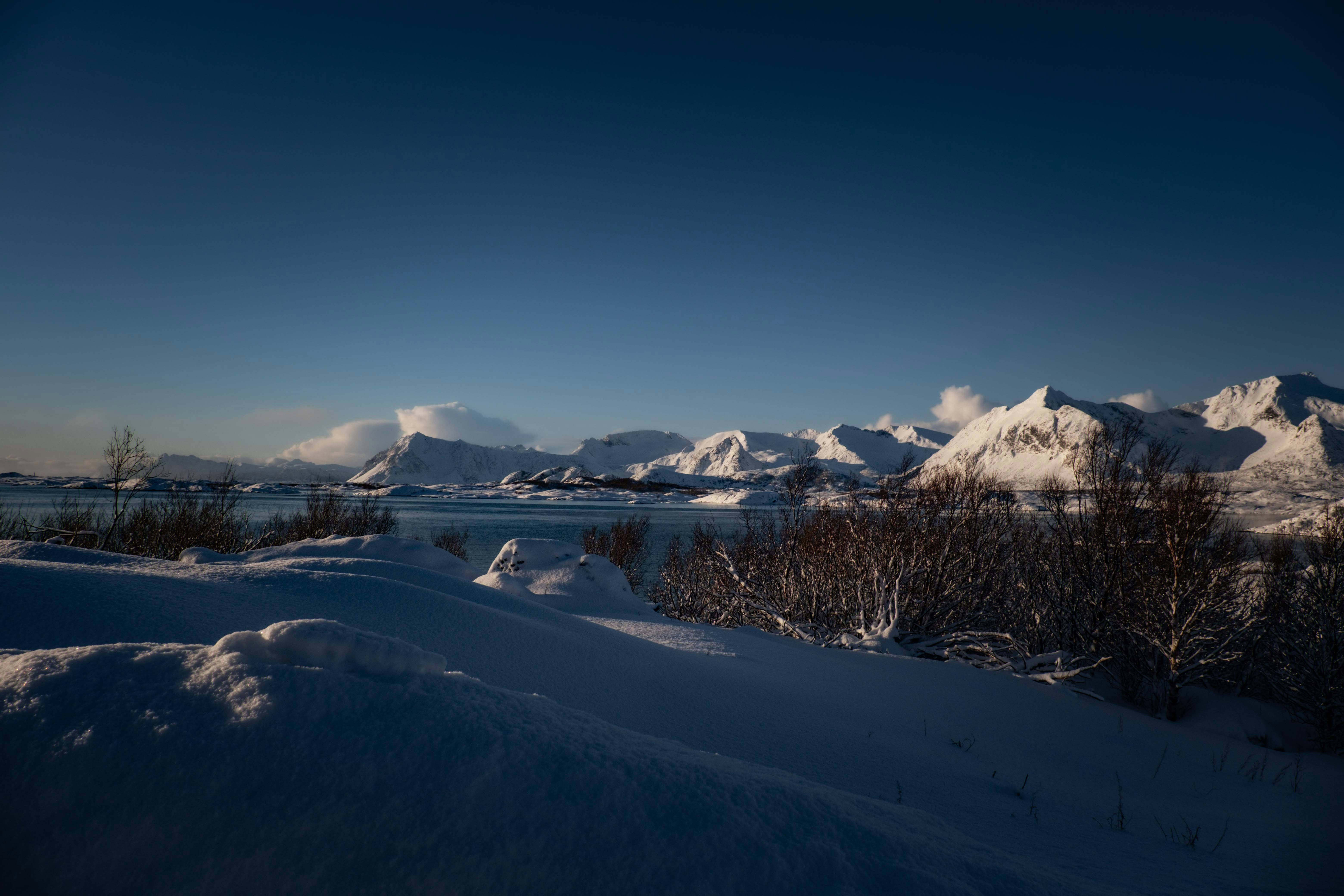 Photo by francesco_ungaro